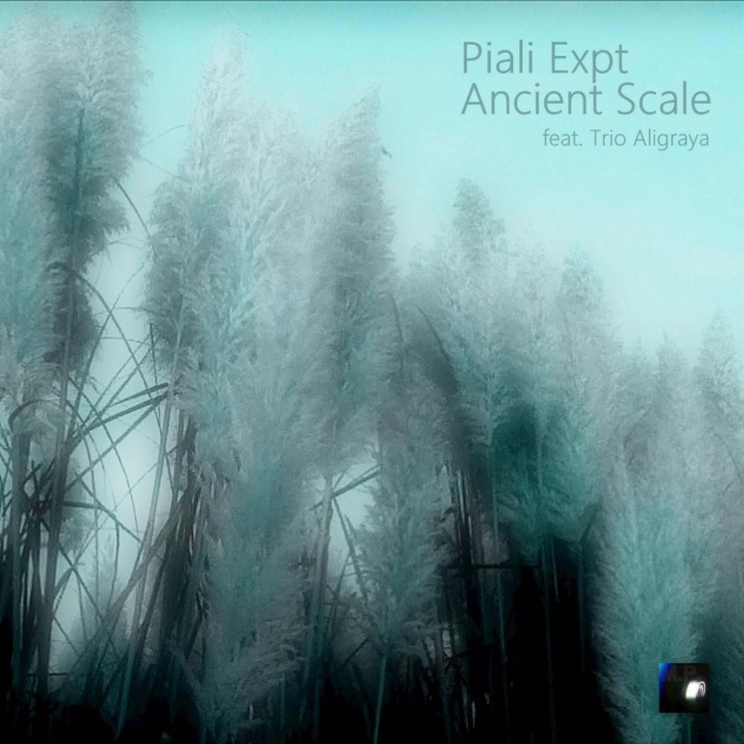 Ancient Scale (feat. Trio Aligraya) - Single