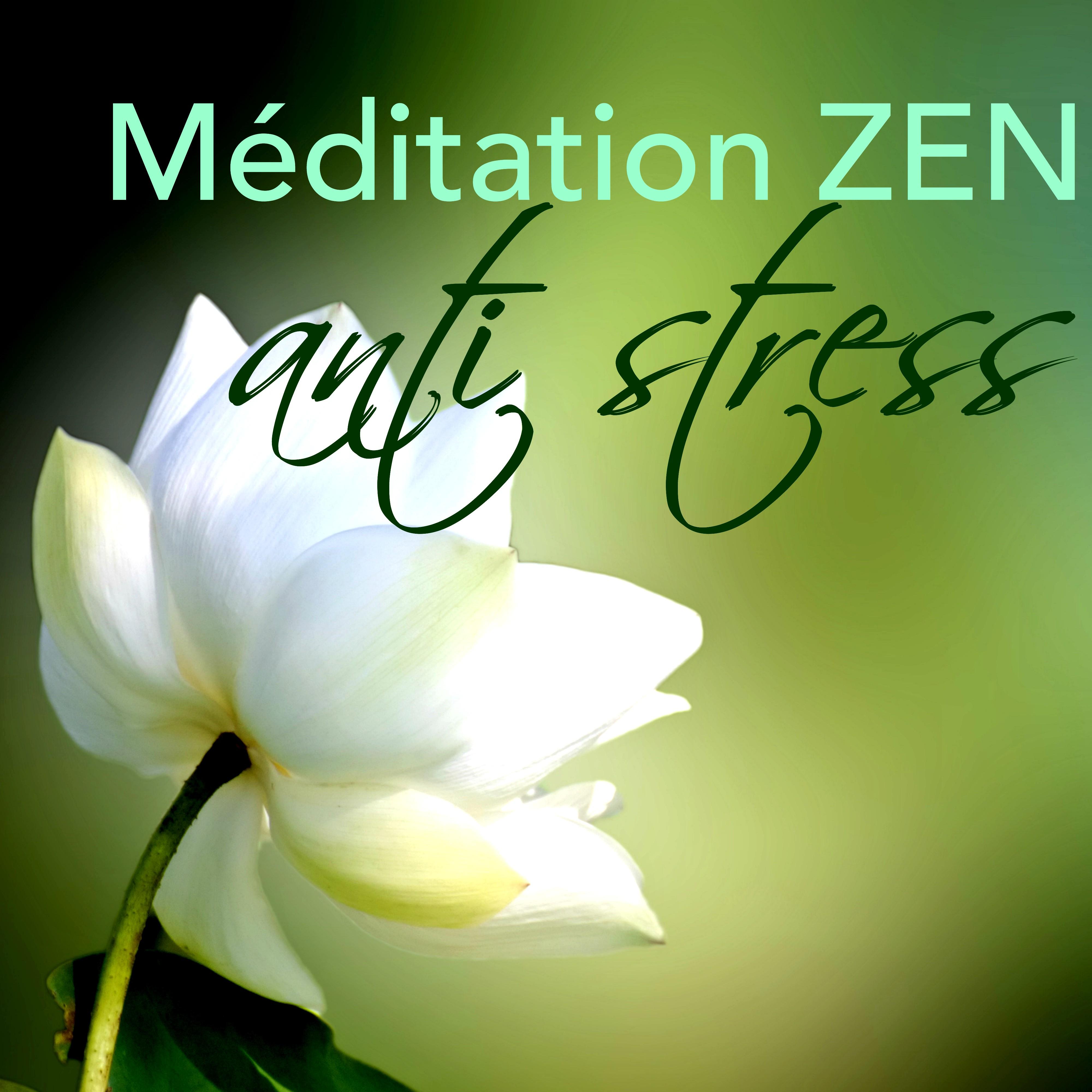Me ditation Zen Anti Stress: Musique pour Moments de De tente et Relaxation, Zen pour Massage, Spa, Reiki, Yoga, Sommeil Paisible, Me ditation Anti Stress et Bien tre