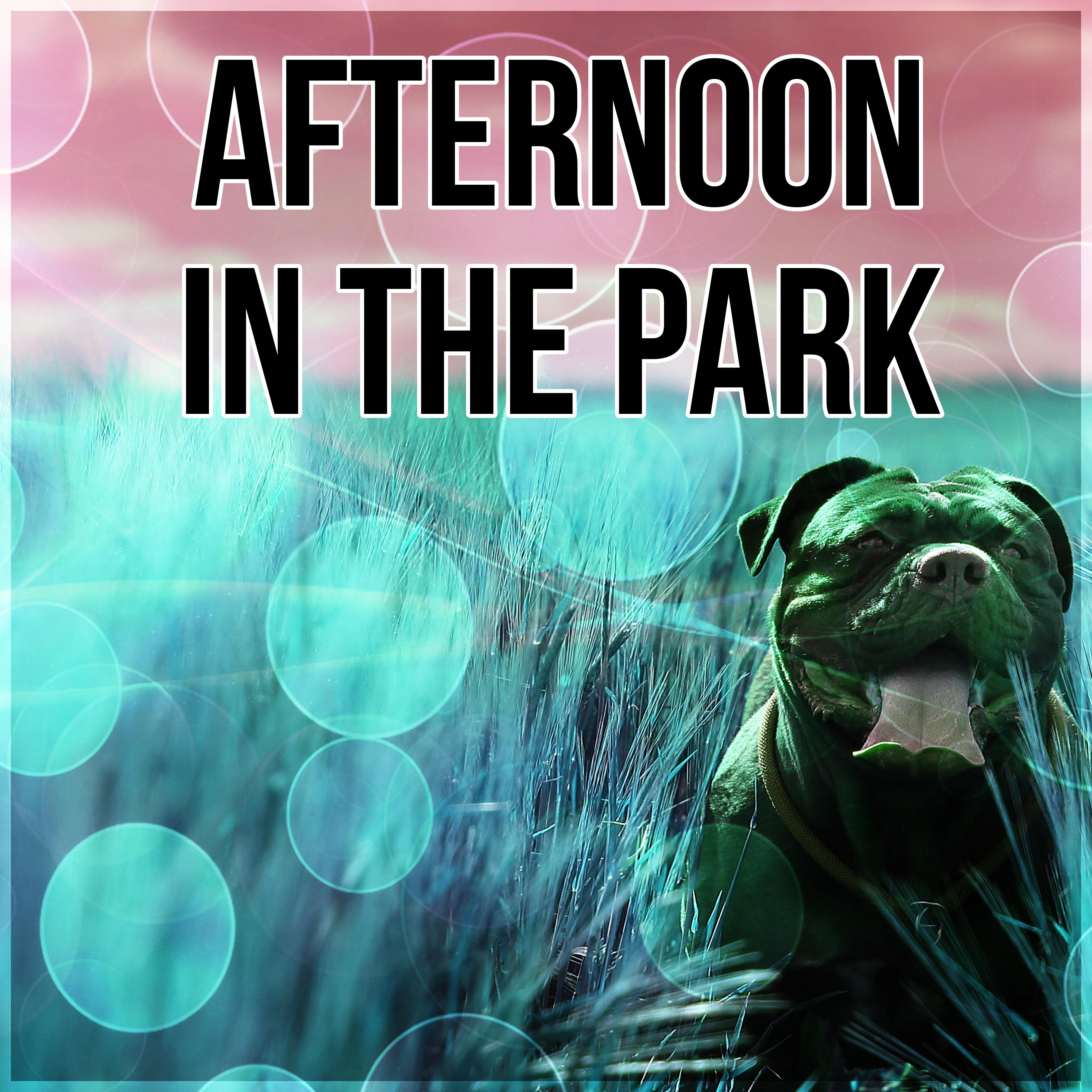 Afternoon in the Park - Calm Down Your Animal Companion, Soothing Nature Sounds for Puppies & Cats