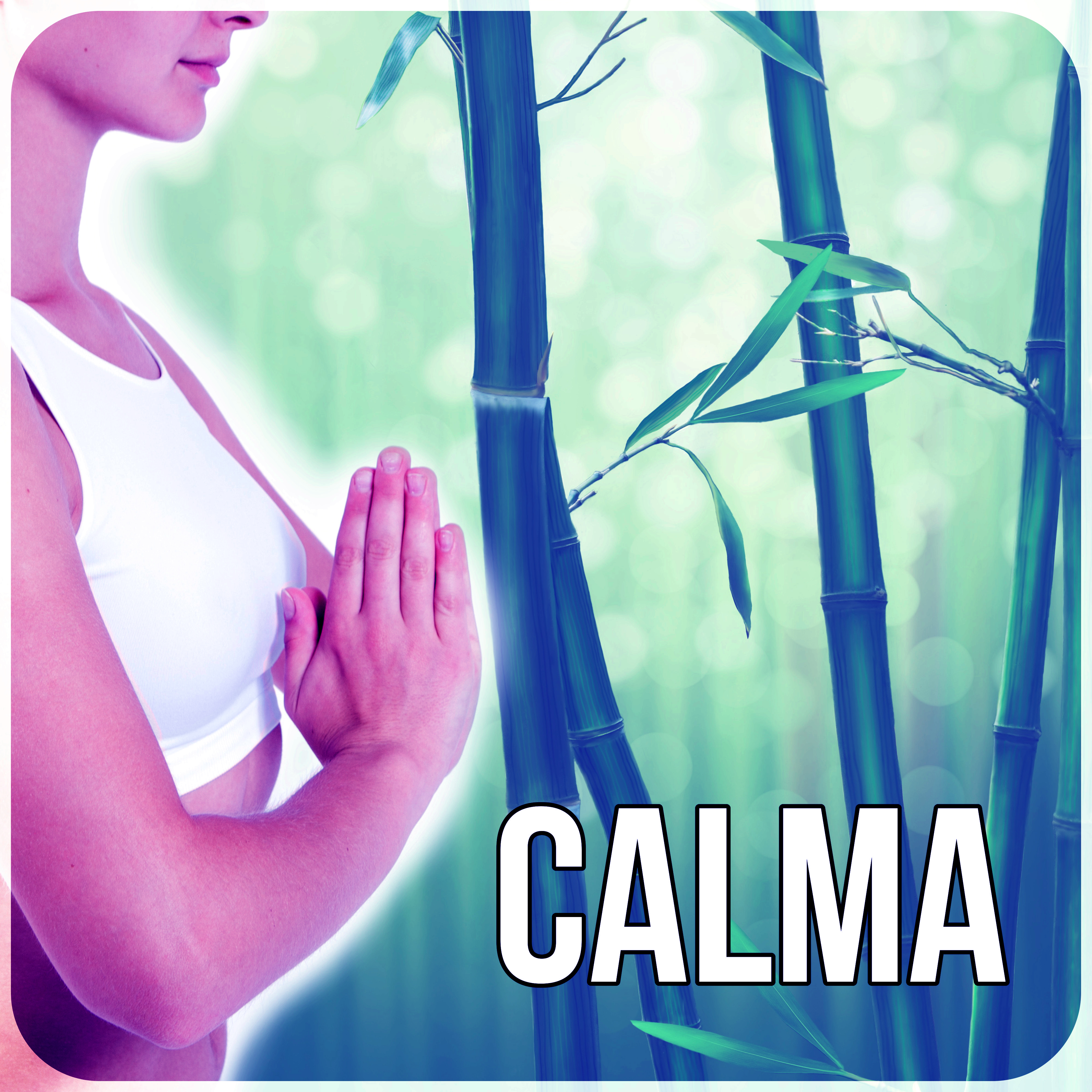 Calma  Mu sica New Age para la Relajacio n, el Yoga y la Meditacio n, la Mu sica de Fondo para el Masaje, Spa  Wellness, el Sonido del Oce ano, la Lluvia con Mu sica de Piano y Mu sica de la Flauta