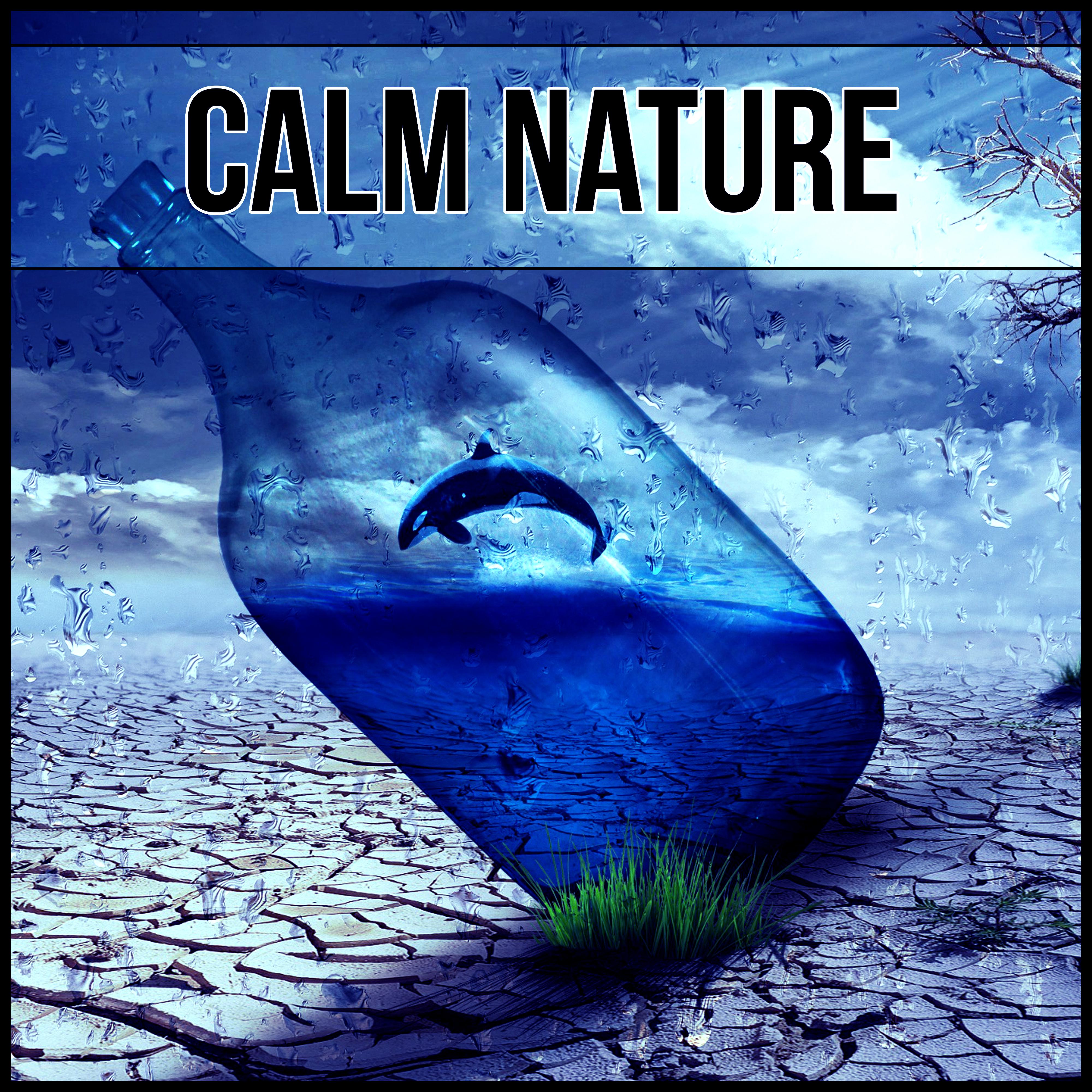 Calm Nature  Healing Songs of Nature, Soothing Waves, Calming Music, Sleep Well