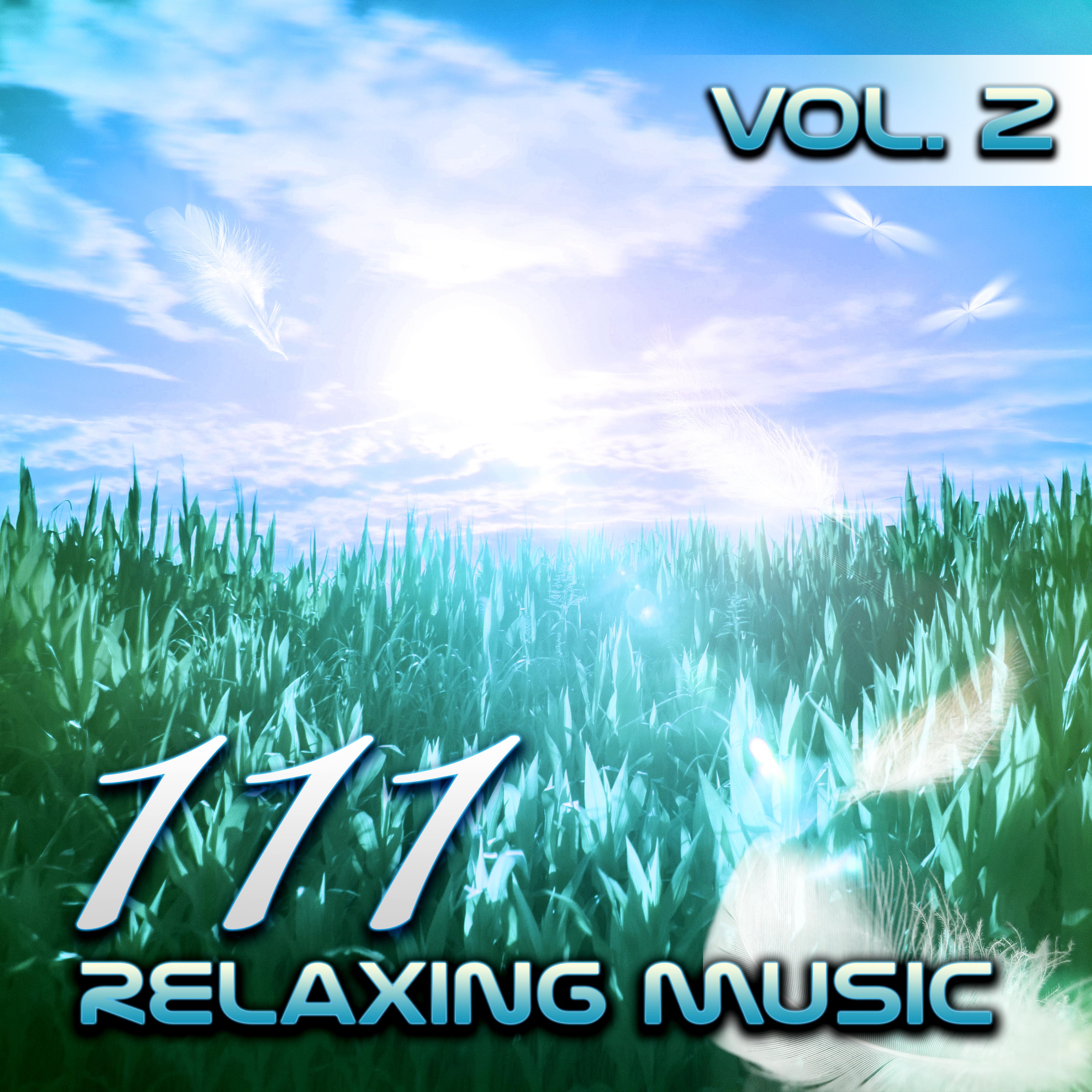 111 Relaxing Tracks Vol. 2  Spa, Massage, Relaxation, Meditation, Reiki, Yoga, Sleep Therapy, Relax Sessions, Natural White Noise