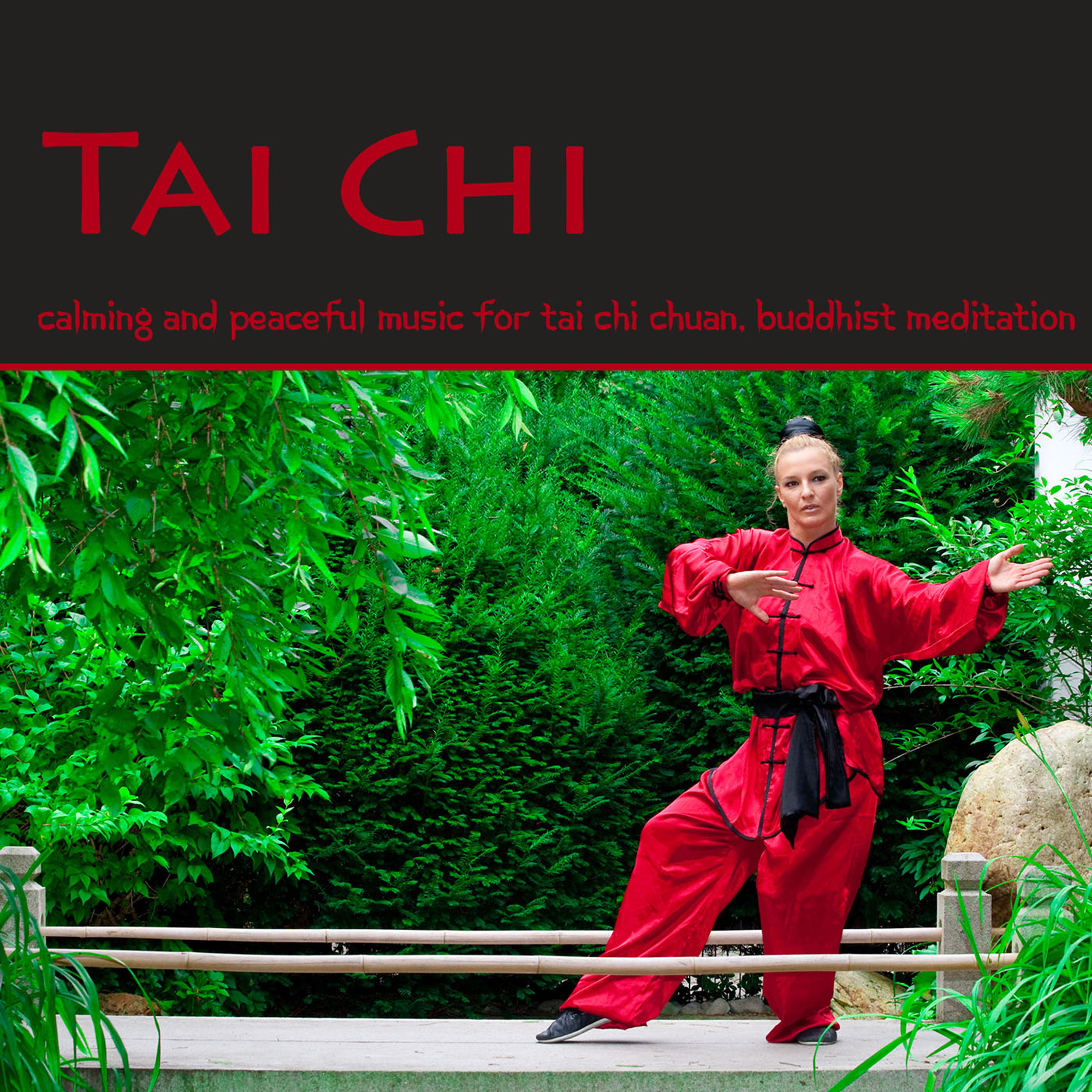 Tai Chi  Calming and Peaceful Music for Tai Chi Chuan, Buddhist Meditation, Qi Gong, Reiki  Raja Yoga