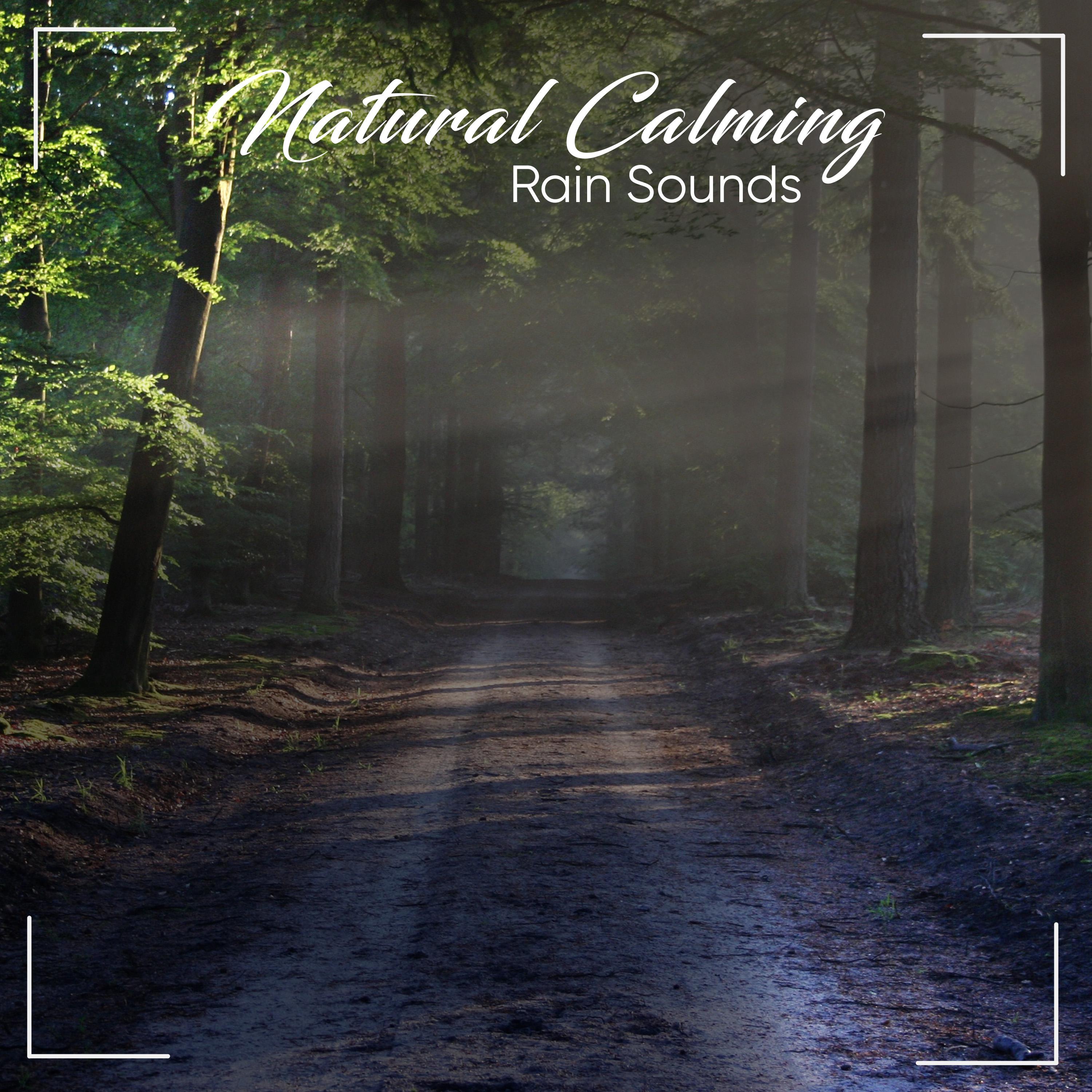 #14 Natural, Calming Rain Sounds for Ultimate Relaxation