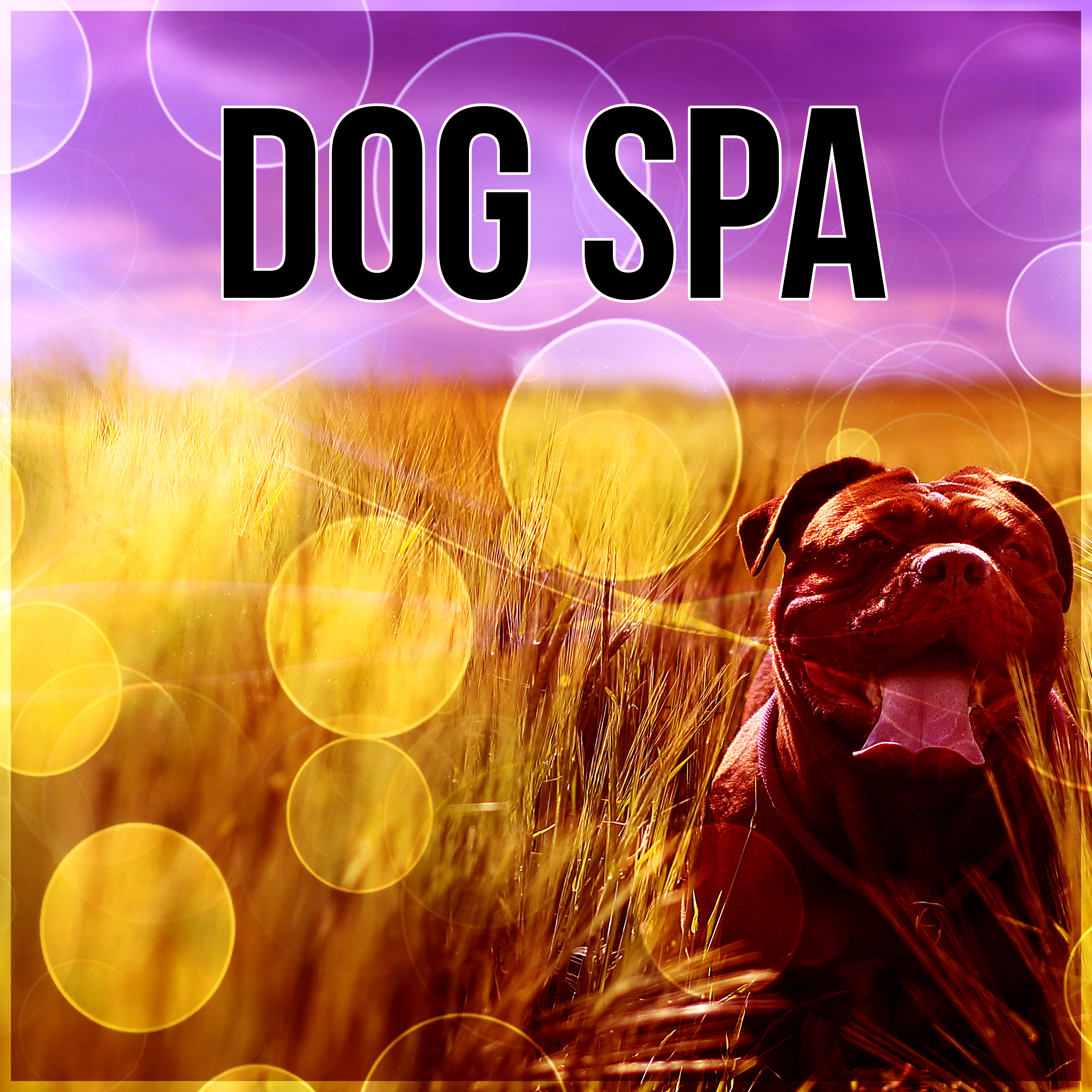 Dog Spa  Calming Music to Relax and Calm Down Your Dog, Pet Relaxation, Stress Relief, Anxiety Medication, Sleep Aids, Music Therapy for Dogs, Comfort and Happiness with Nature Sounds