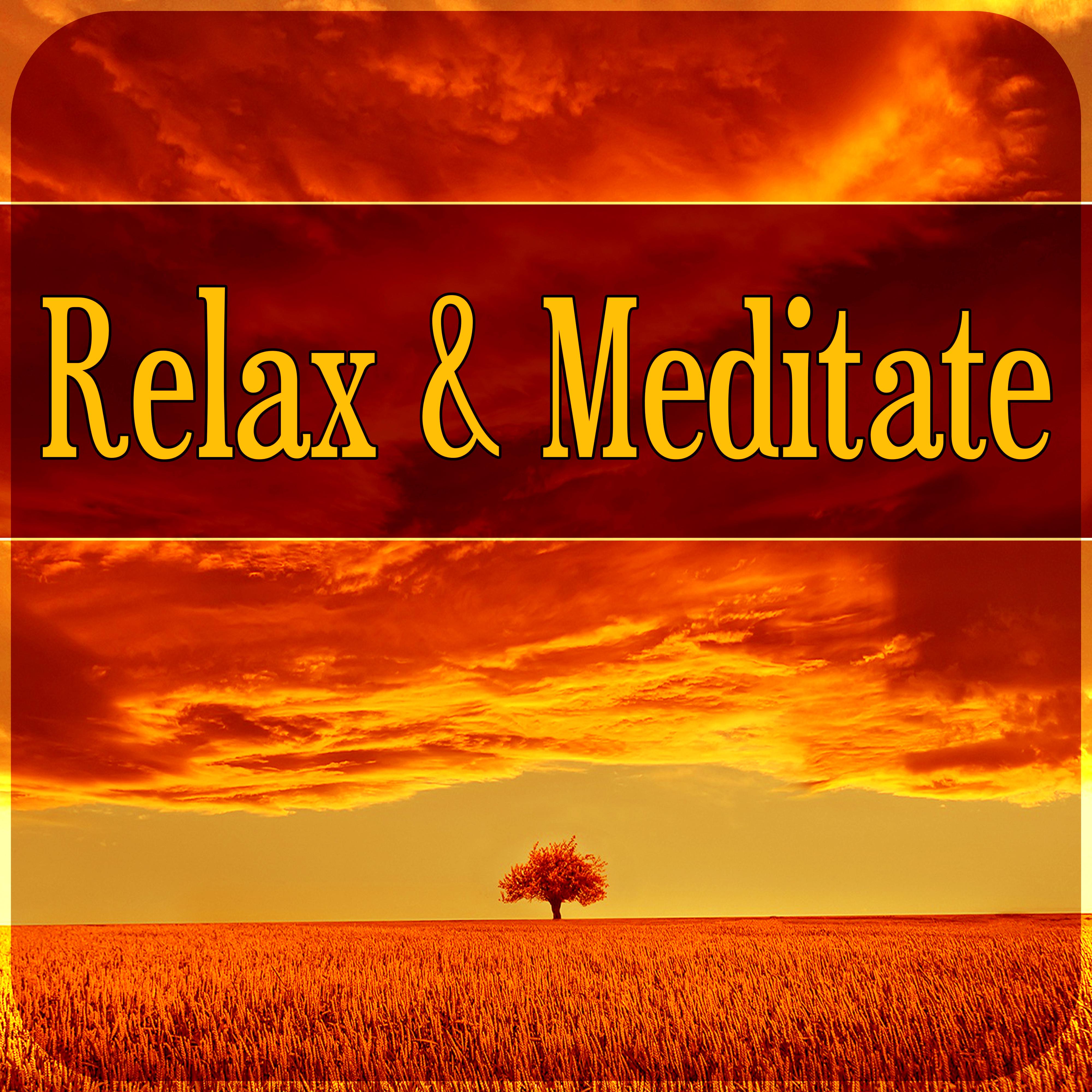 Relax & Meditate - White Noises for Deep Sleep, Spiritual Reflections, Relaxation and Nature Sounds, Relaxing Moments