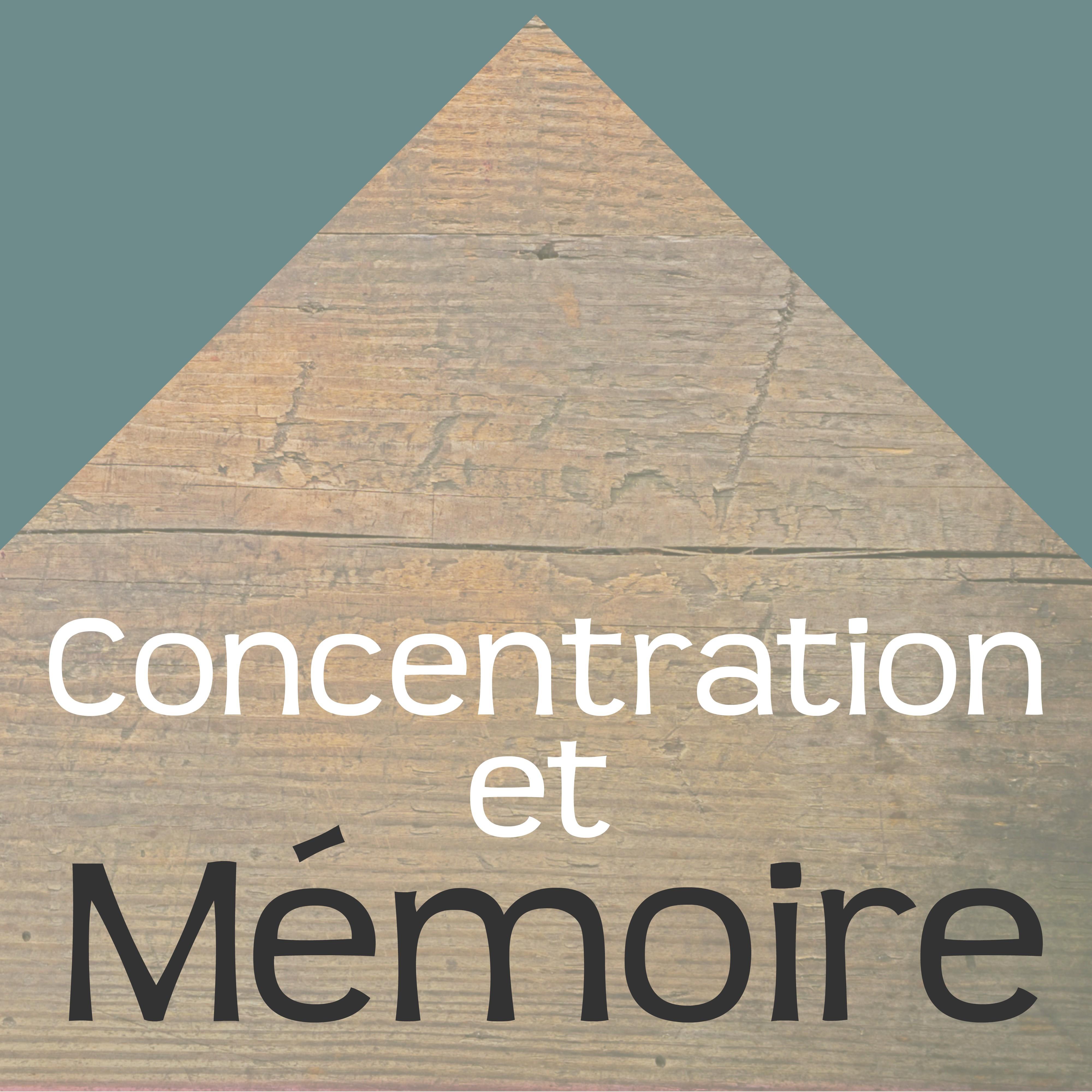 Concentration et Me moire  Les Meilleures Chansons pour Training Autoge ne, Entrainement Ce re bral, Ame liorer sa Me moire et Jeux de Me moire