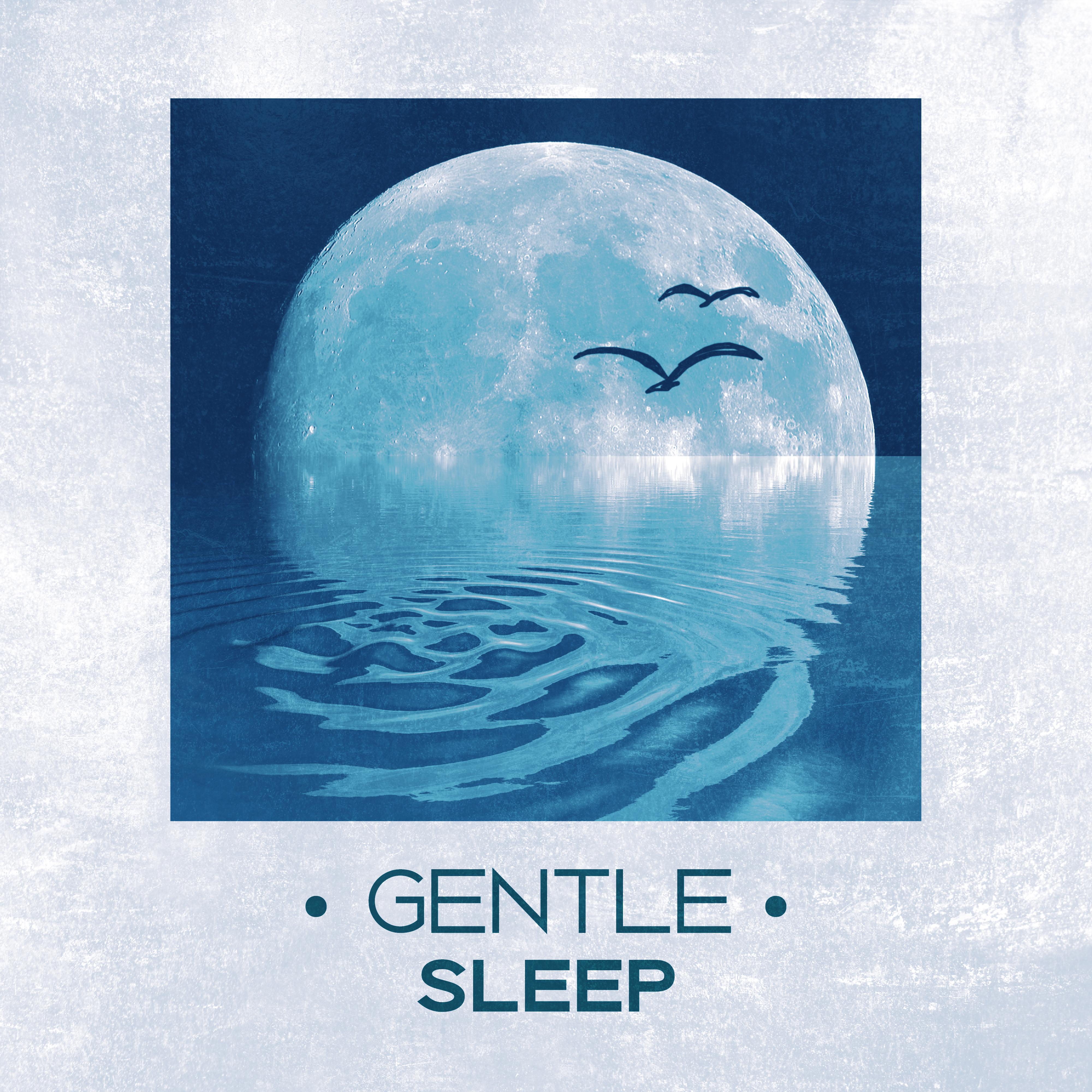 Gentle Sleep  Calming Nature Sounds, Music for Sleeping, Sleeping Well, Ritual Before Sleeping