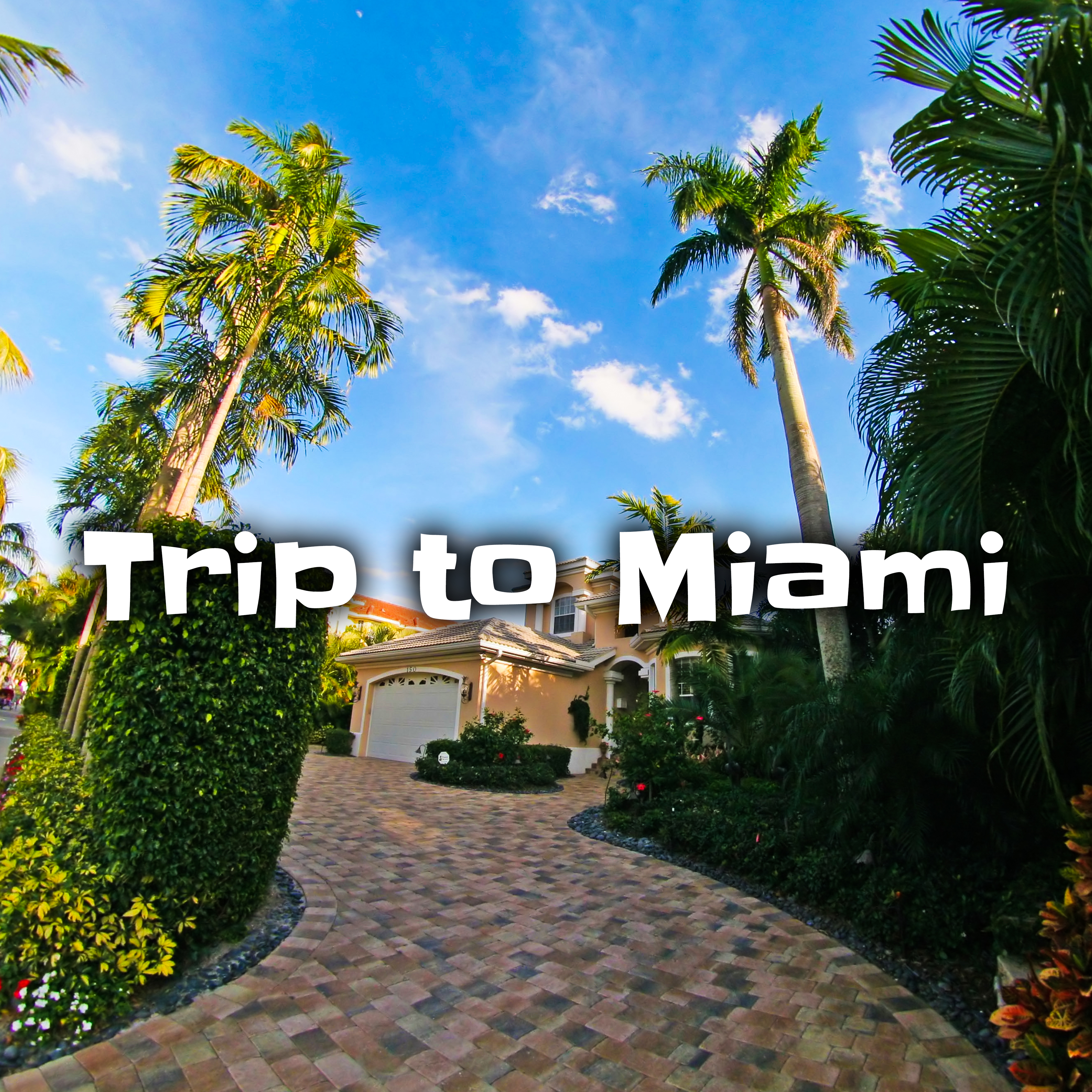 Trip to Miami  Summer Chill Out, Relax on the Beach, Holiday Vibes, Ambient Summer, Deep Vibes