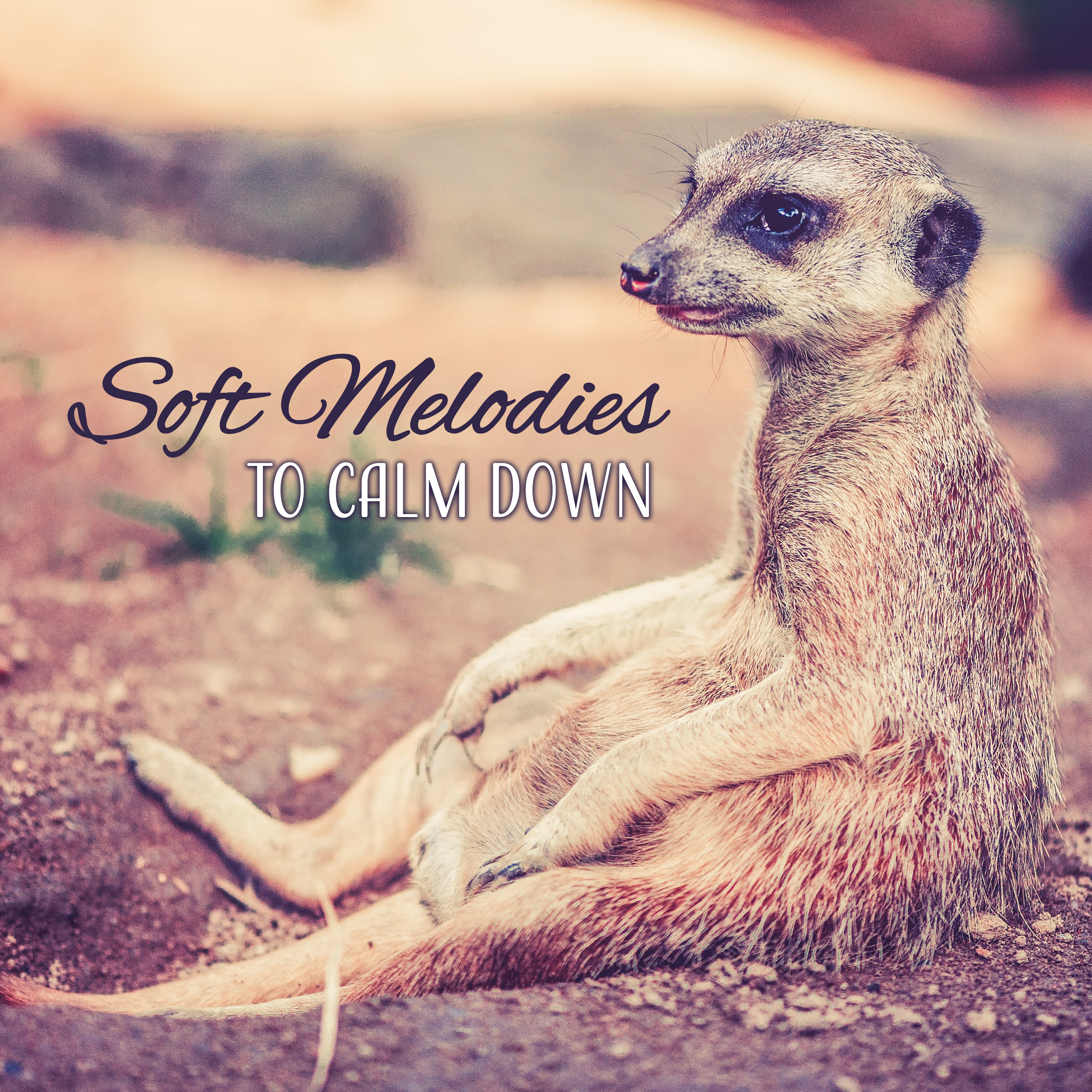 Soft Melodies to Calm Down