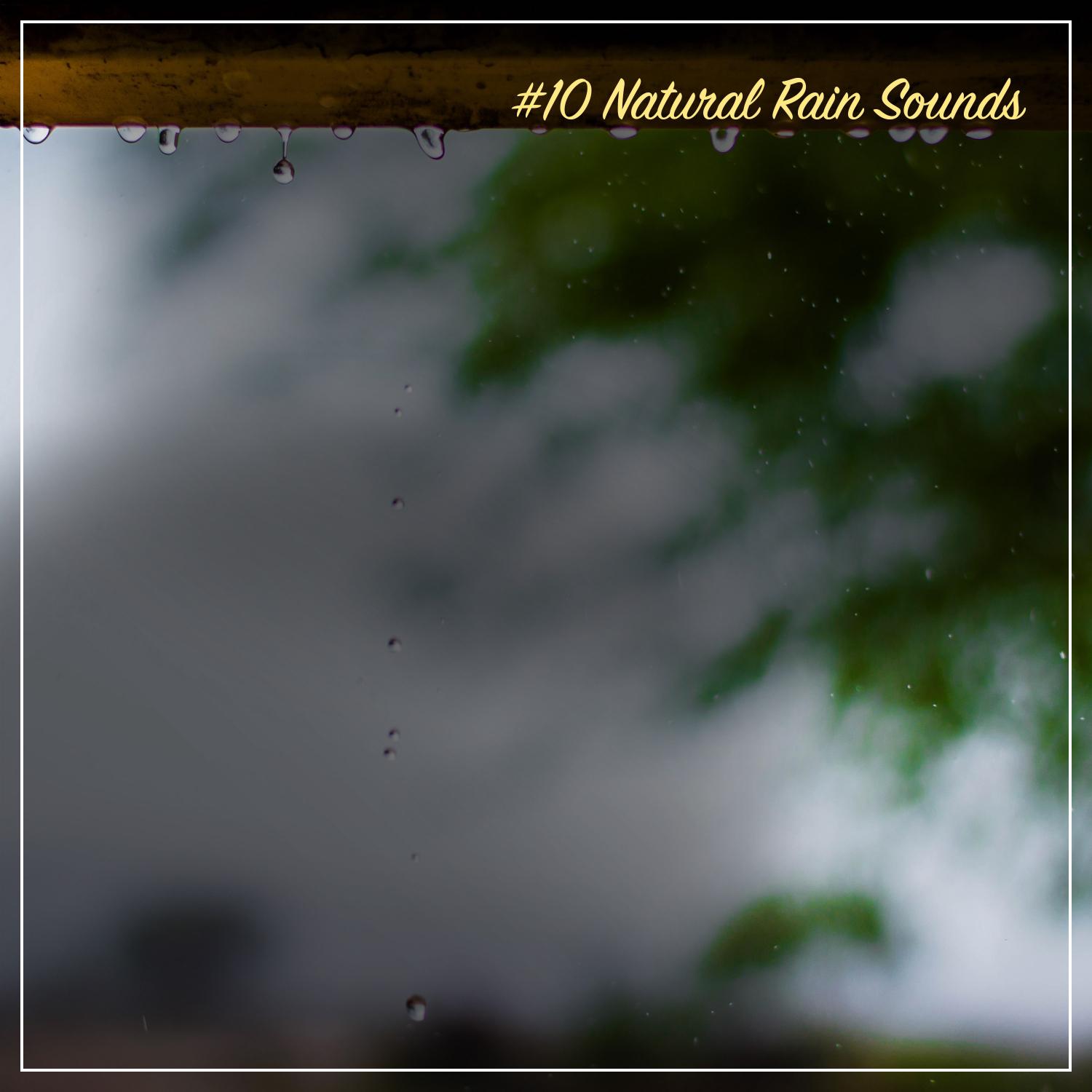 #10 Natural Rain Sounds - Calm your Mind and Soothe your Soul