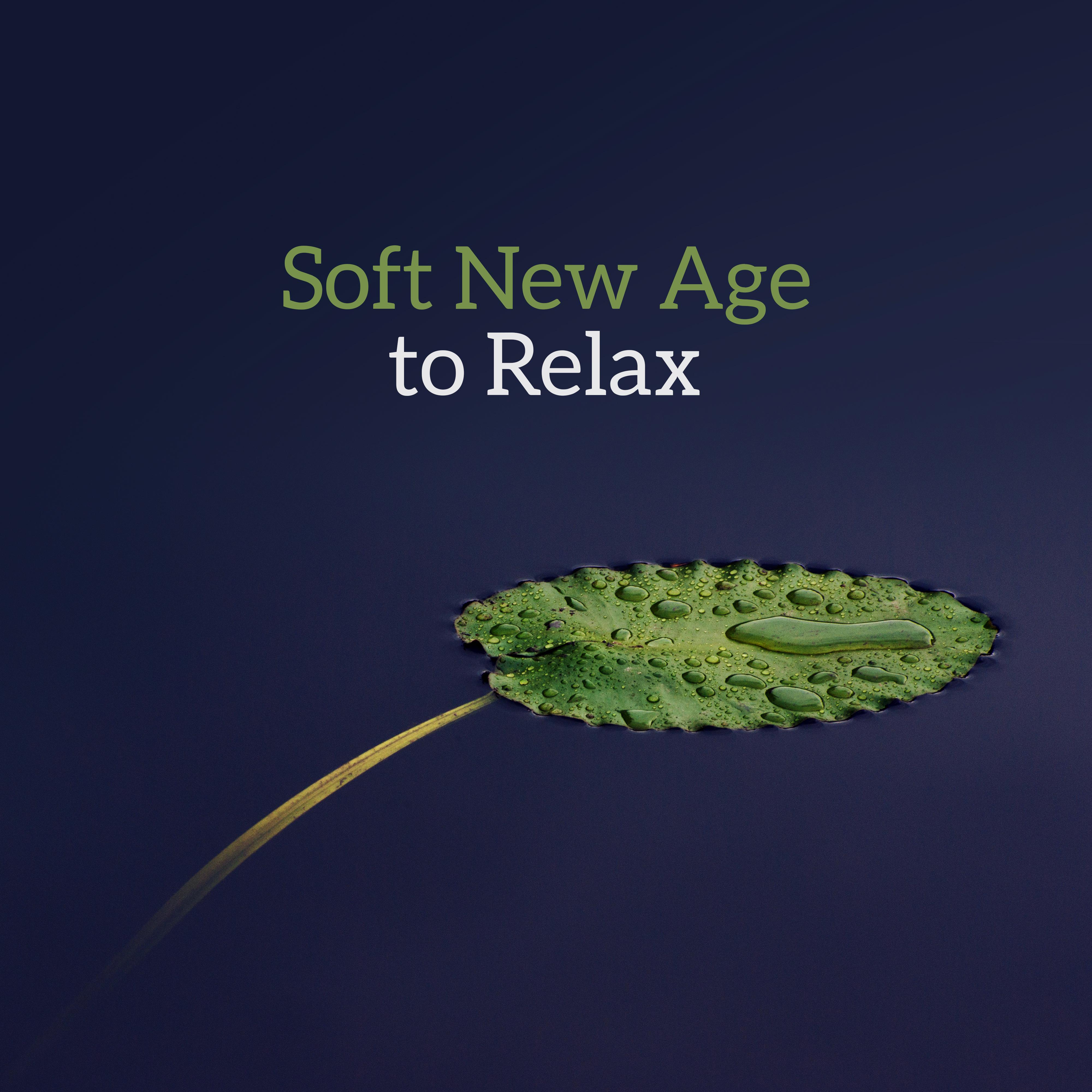 Soft New Age to Relax  Easy Listening, Wind Blows, Peaceful Music, Melodies to Relax, Rest All Day
