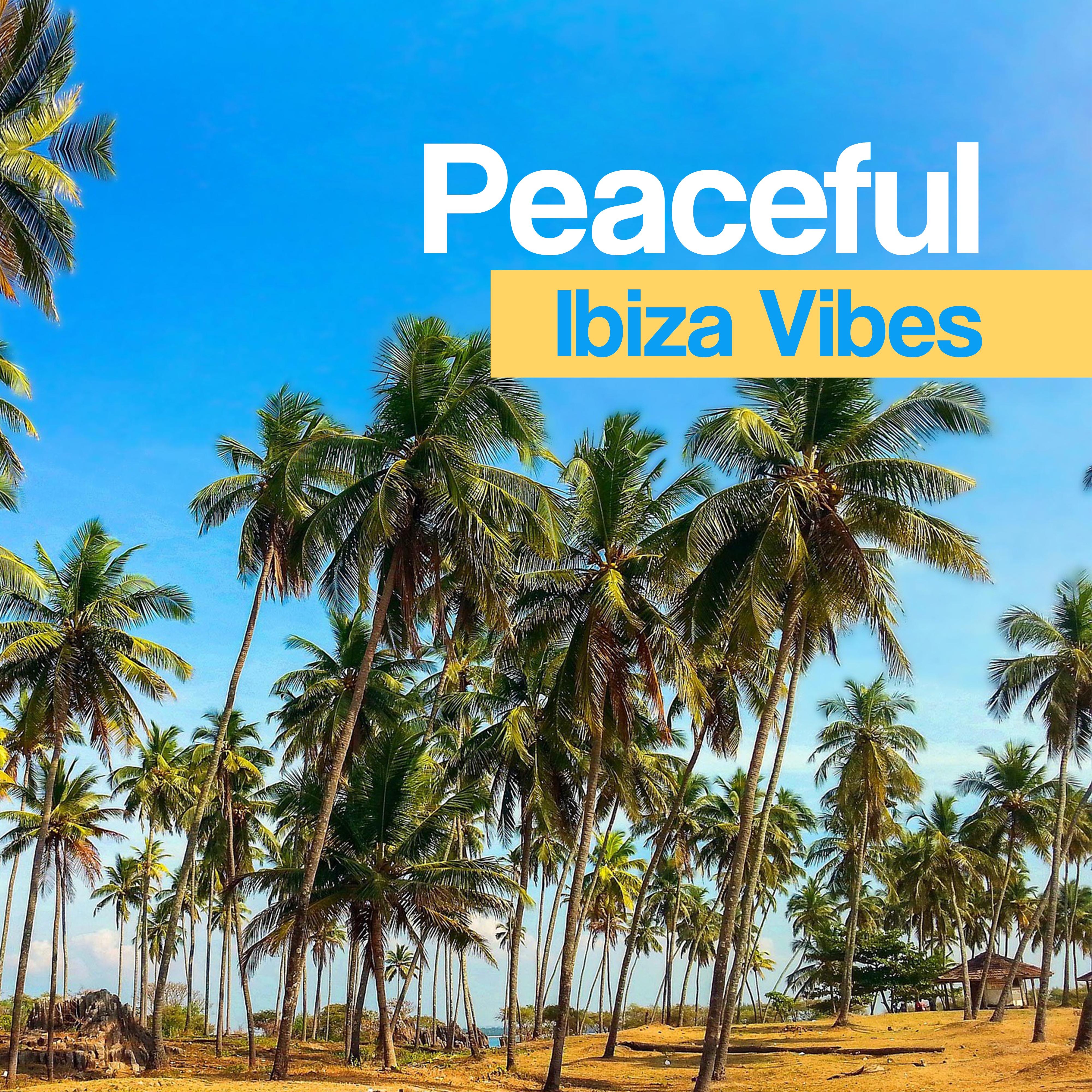 Peaceful Ibiza Vibes  Chill Out Memories, Summer Sun, Holiday Beach Lounge, Blue Ocean