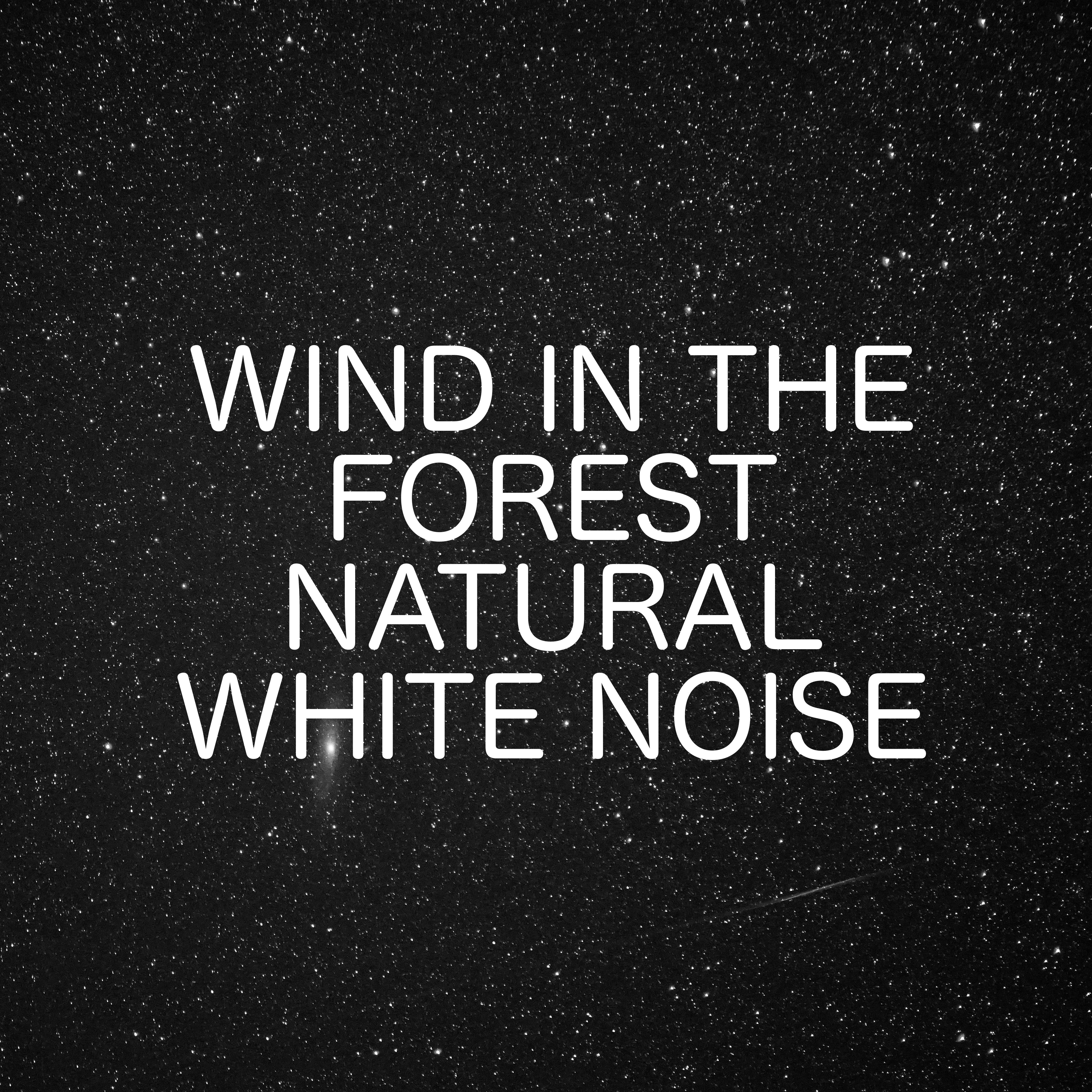 Wind In The Forest - Natural White Noise Sleeping Aid And Relaxing Ambience