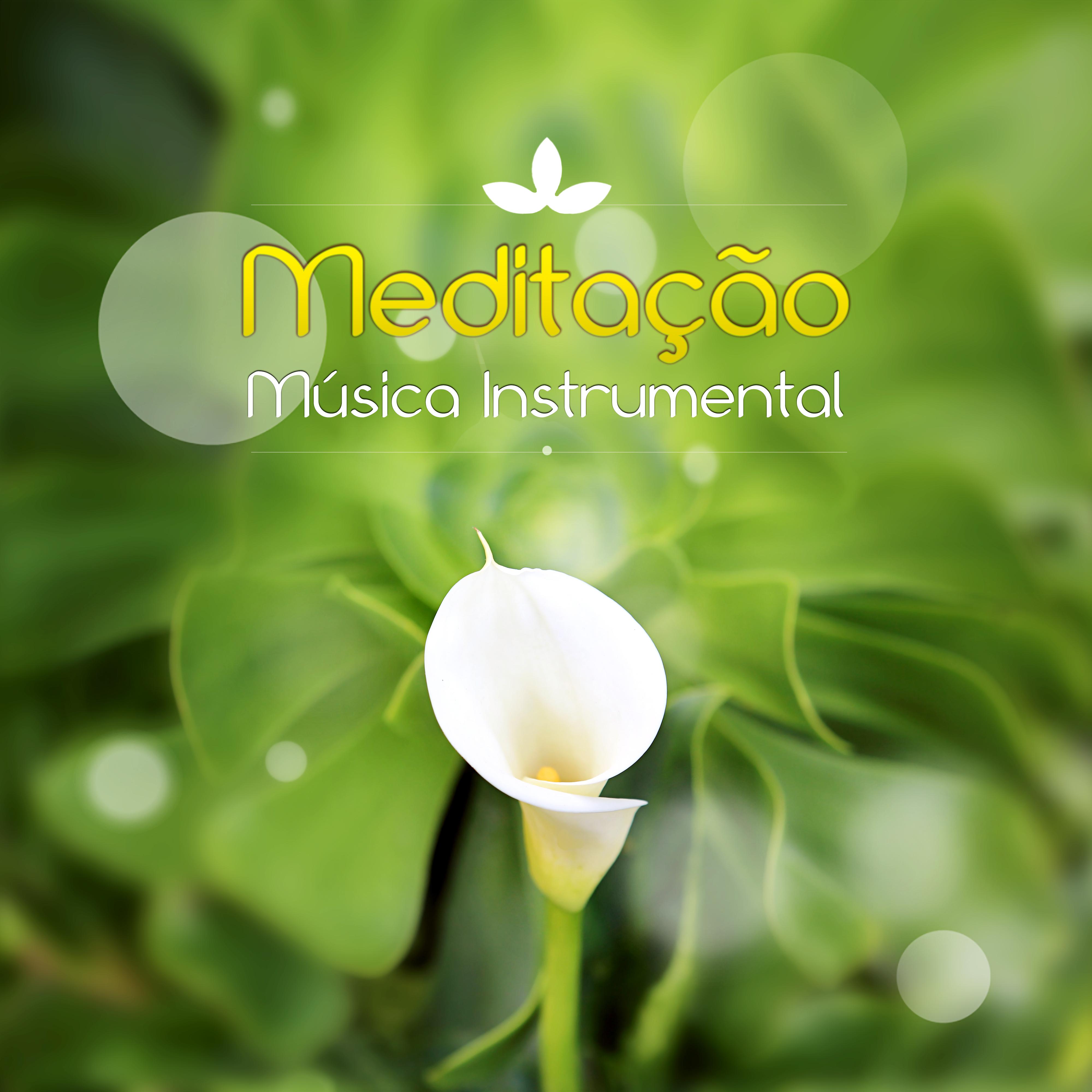 Medita o  Mu sica Instrumental  Harmonia, Mu sica de Flauta, Piano, Guitarra, Sons da Natureza, Musica Reiki, Zen, Yoga, Espiritualidade