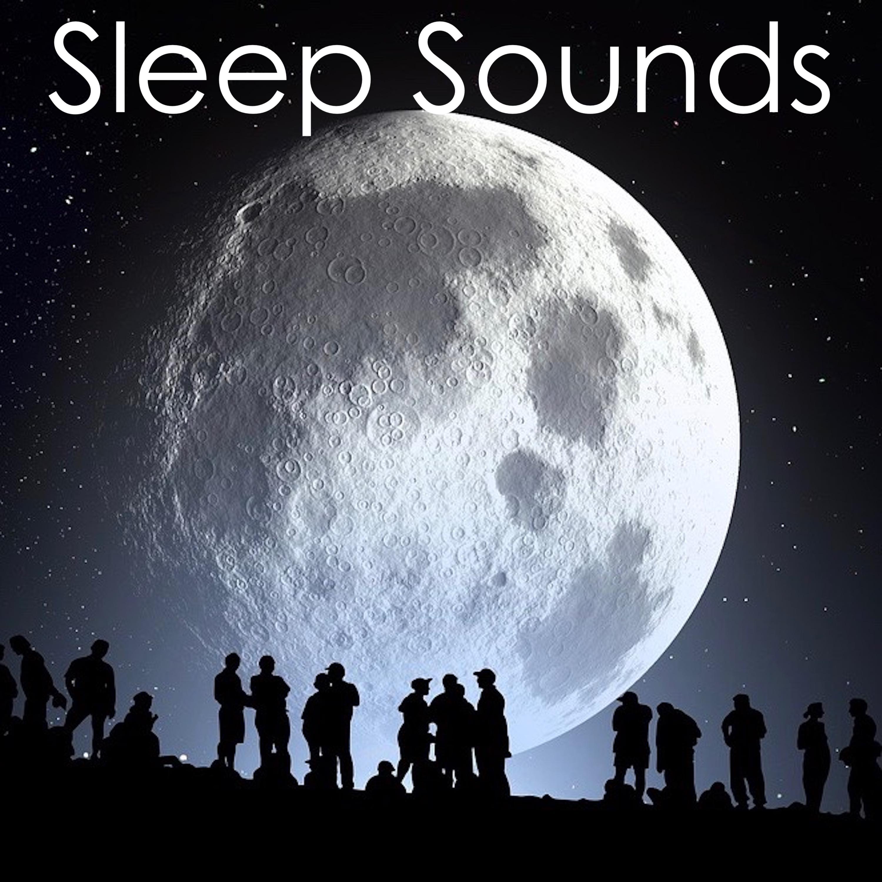 16 Sounds for Deep Sleep - Natural Rain