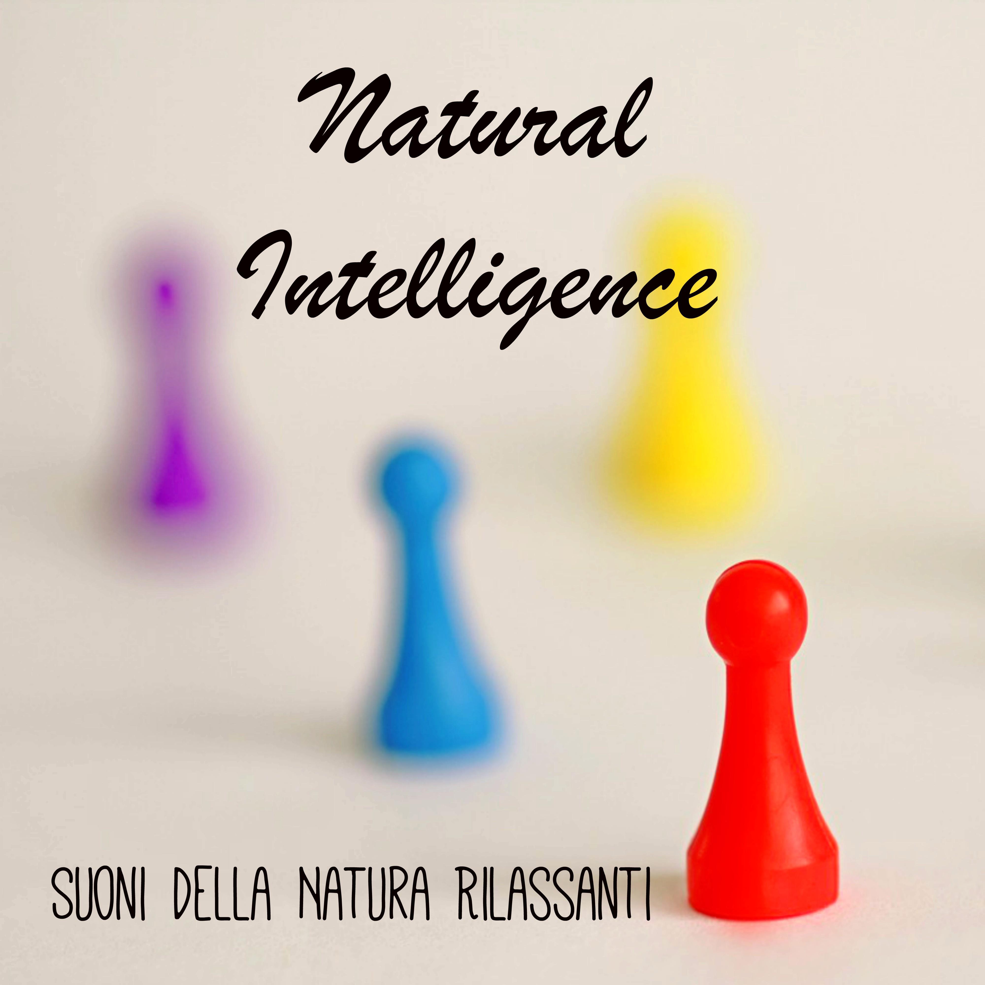 Natural Intelligence - Suoni della Natura Rilassanti per Aumentare Concentrazione Meditazione Quotidiana Prano Terapia
