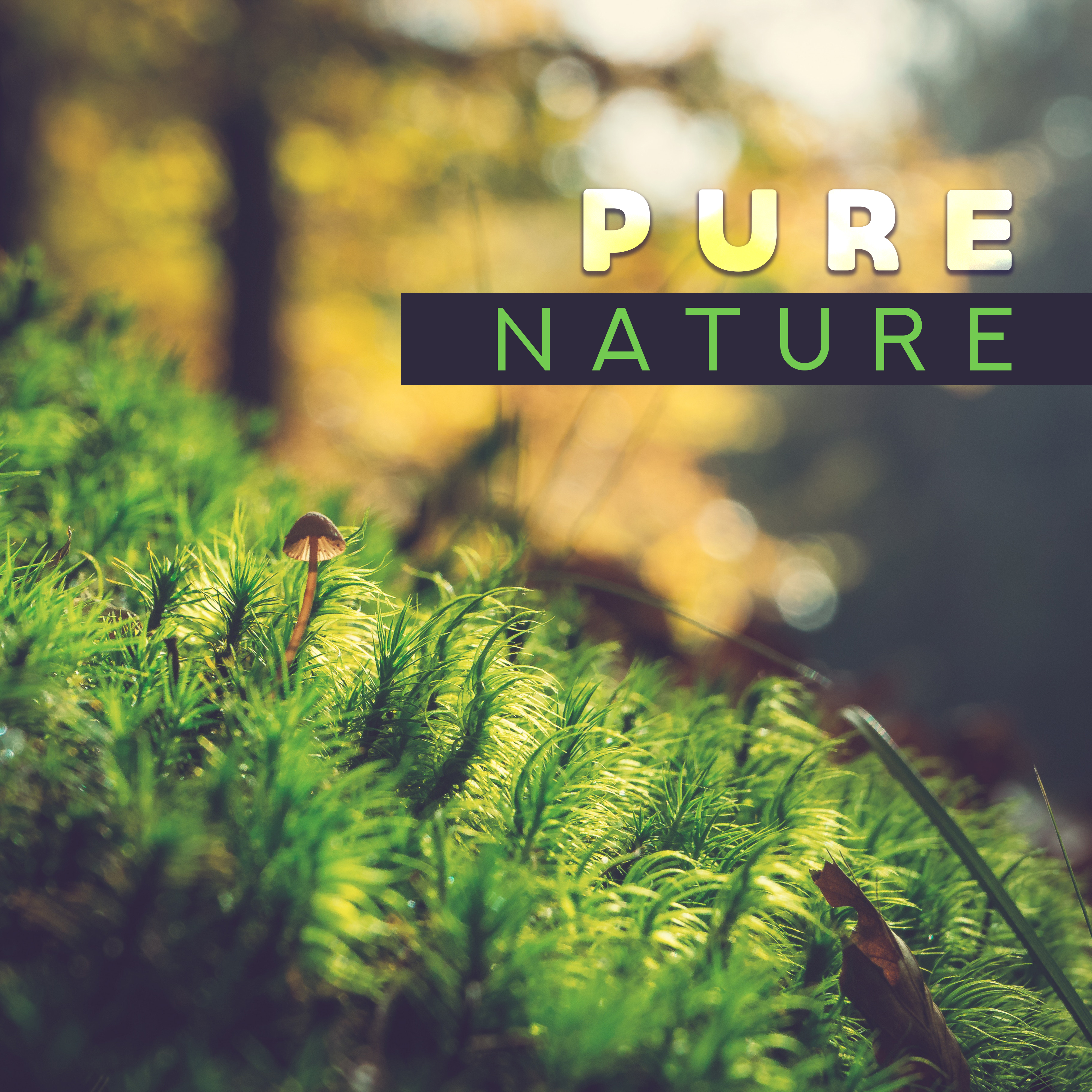 Pure Nature  Calming Nature Sounds Reduce Stress, Ambient Music, Inner Healing, Peaceful Songs to Relax