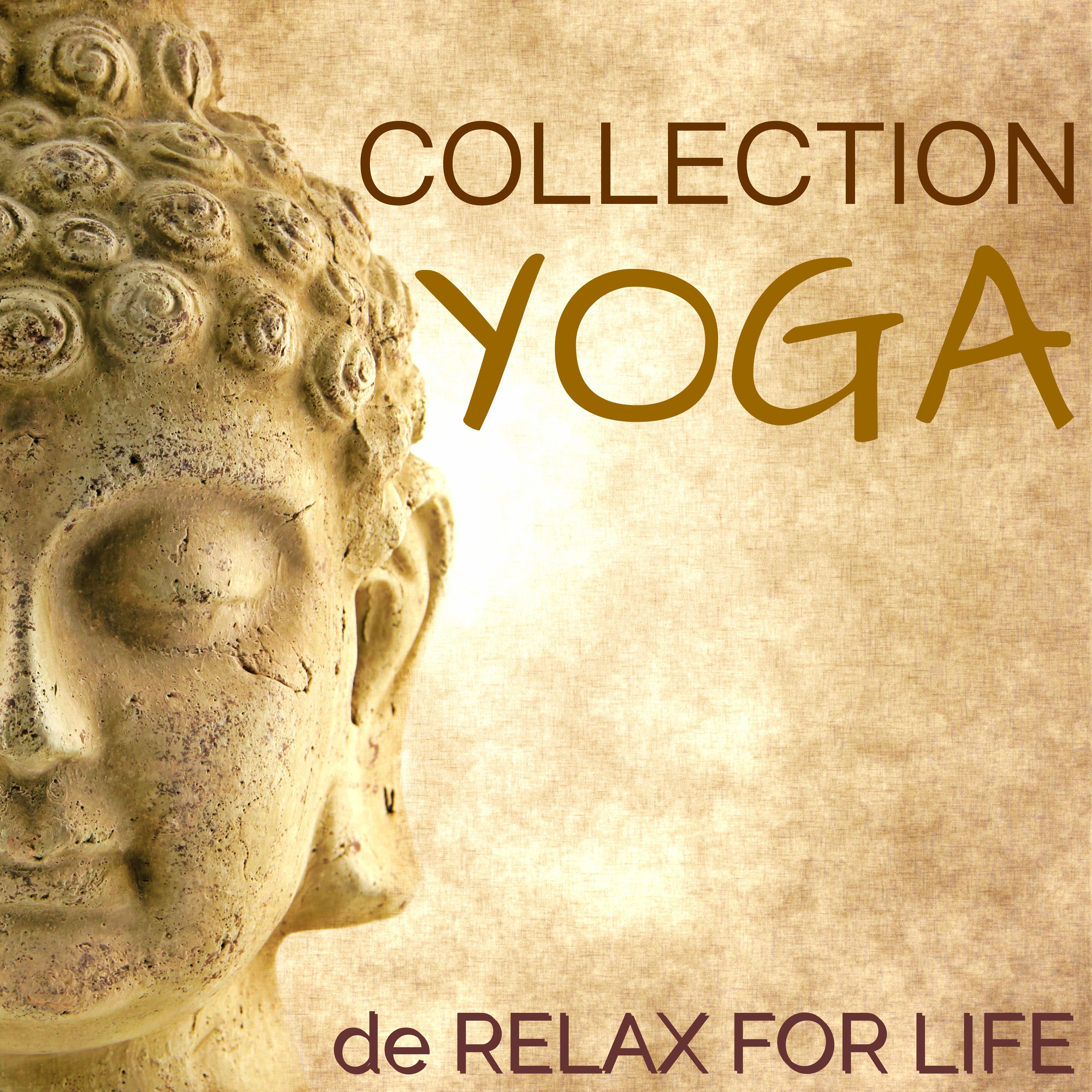 Collection Yoga  Musique pour Cours de Yoga et Me ditation Profond