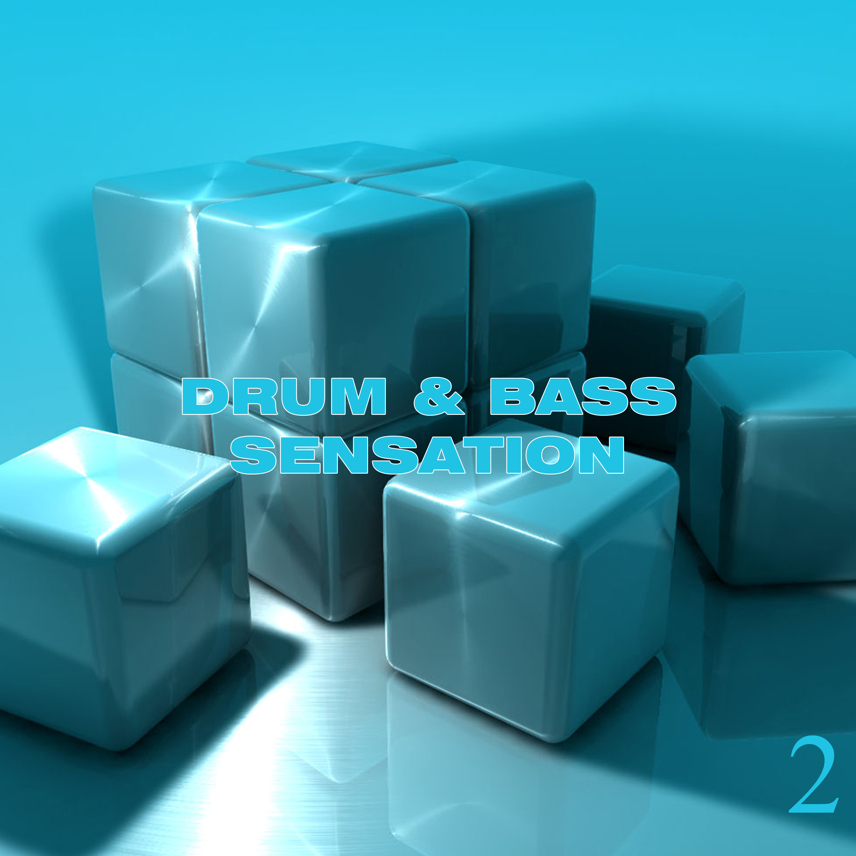 Drum & Bass Sensation, Vol. 2