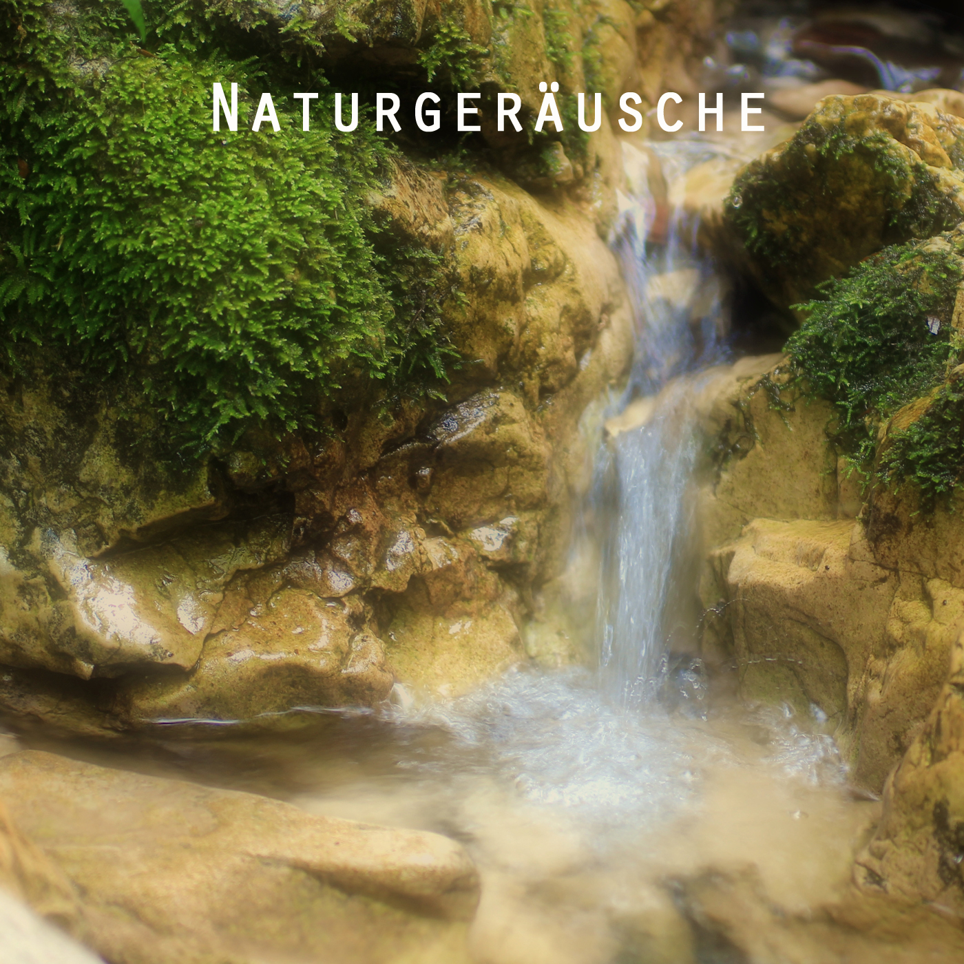 Mountain Stream, Bird Singing and Distant Waterfall Nature Sound. Nature White Noise