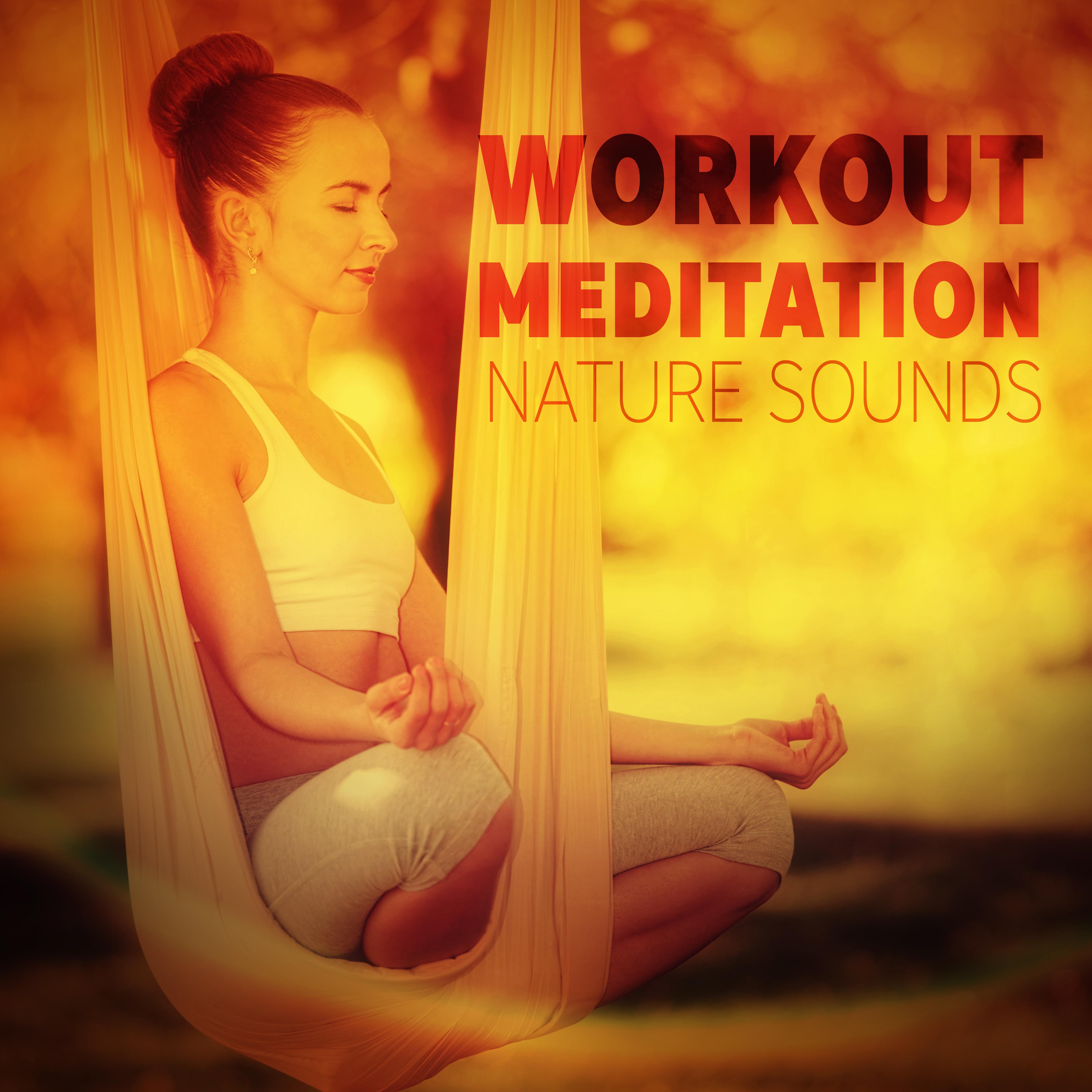 Workout Meditation  Nature Sounds  Healing Sounds of Nature, Zen Meditation Relaxation Tracks, Sleep Meditation Training, Yoga