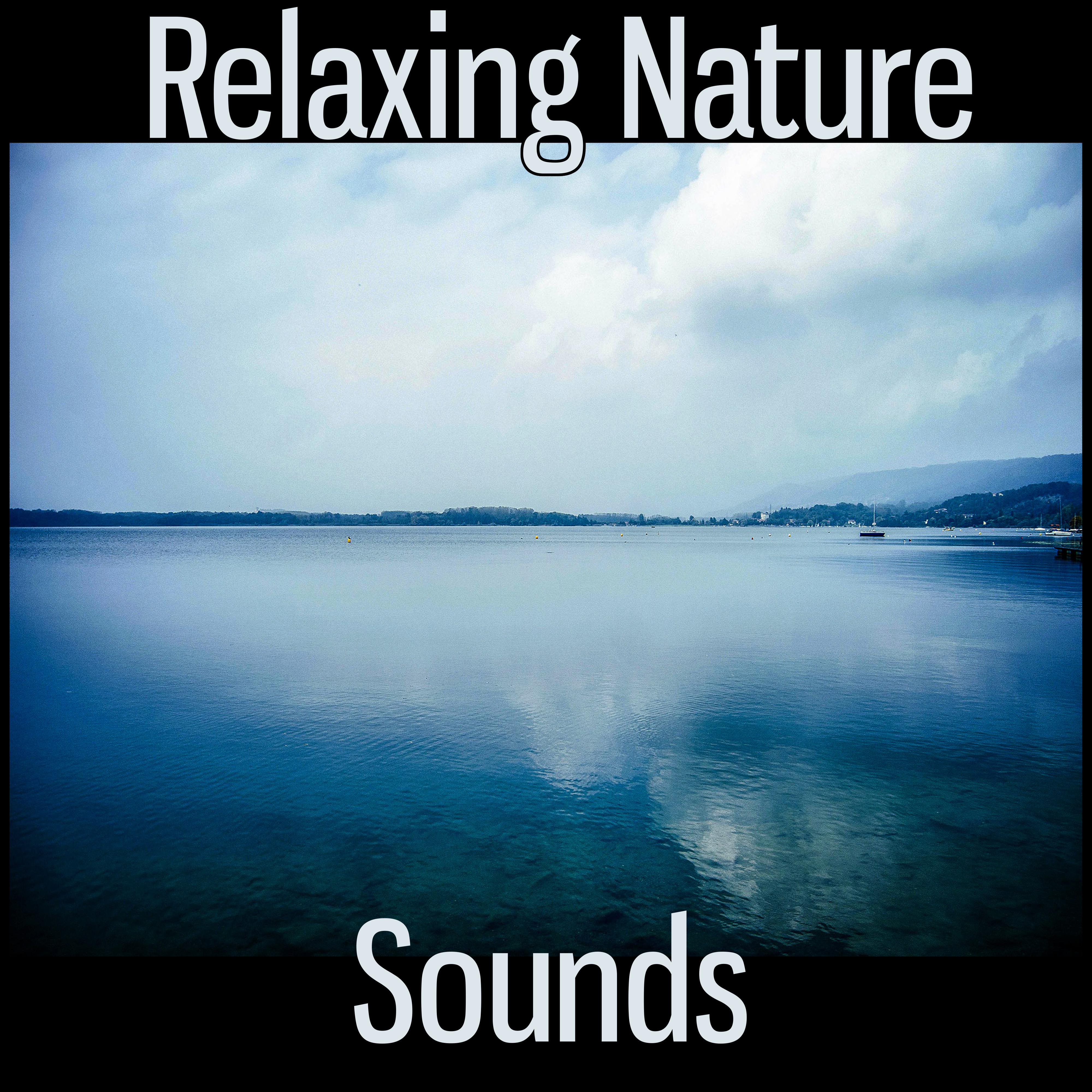 Relaxing Nature Sounds  Nature Sounds to Help You Relax, Easy Listening, Sad Piano Music, Inspirational Music, Beautiful Nature Sounds, Total Relax