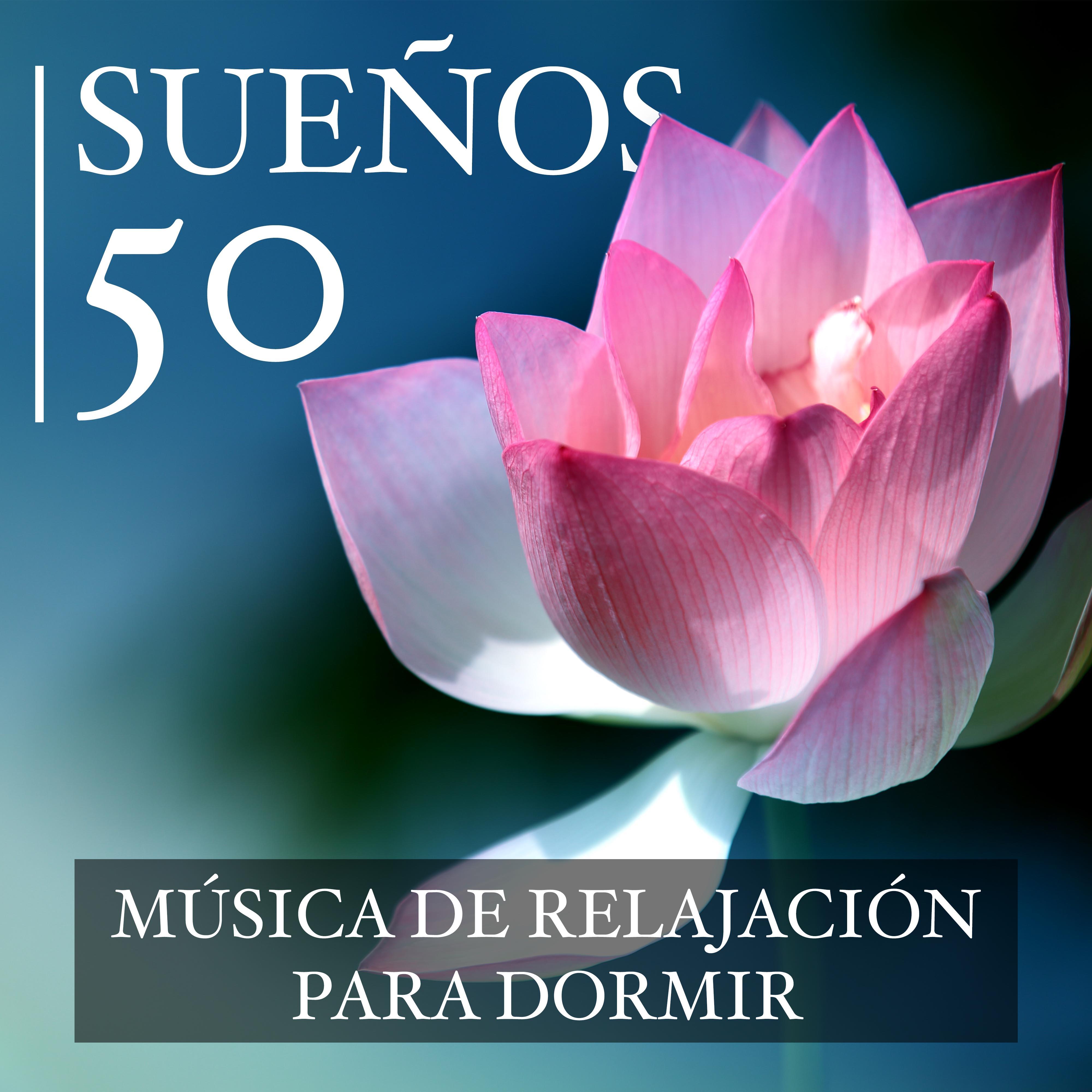 50 Sue os  Mu sica de Relajacio n para Dormir o para Meditar y Mu sica Instrumental como Remedios para la Ansiedad