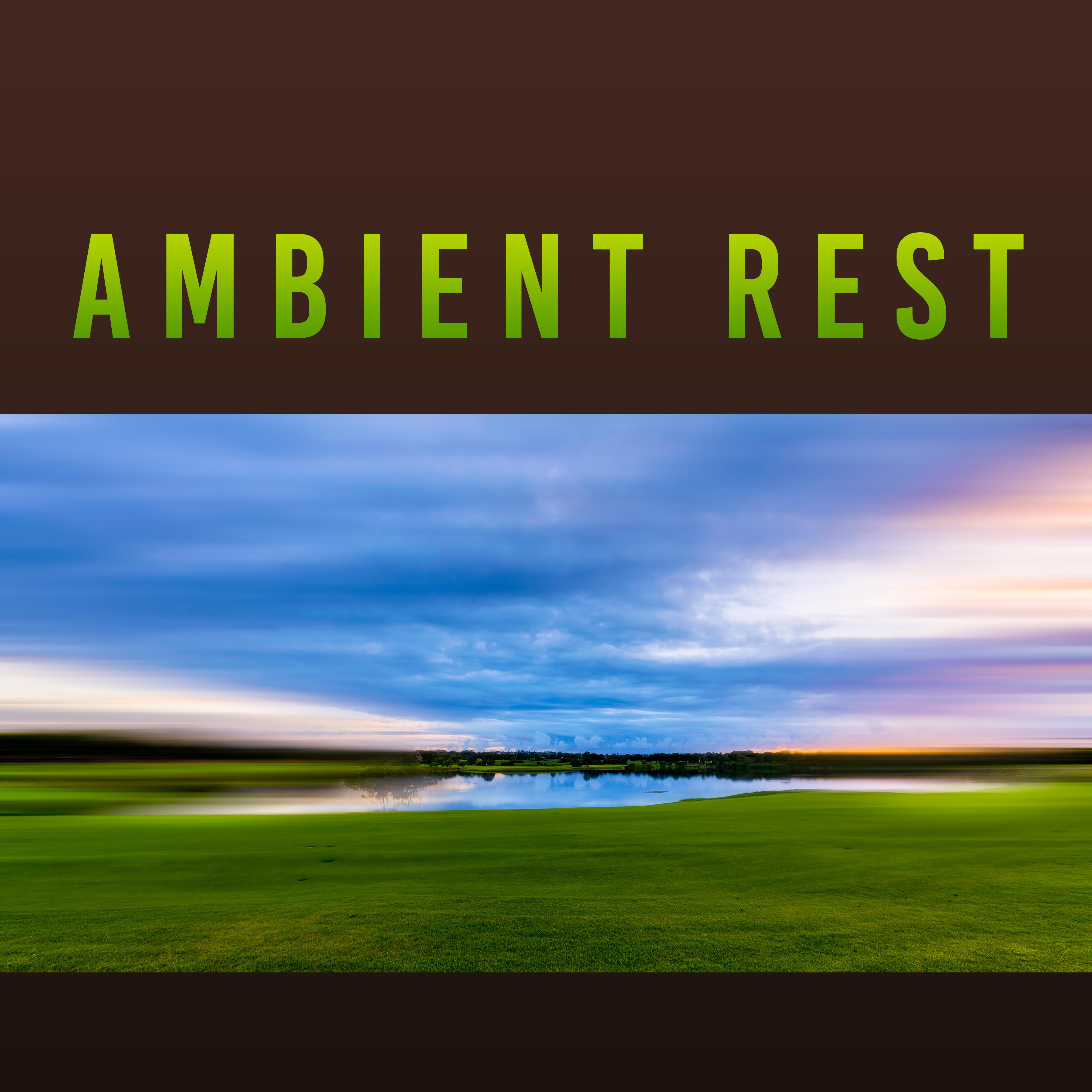 Ambient Rest  Relaxing Music, Nature Sounds, Calming Music, Deep Relax Music, Reduce Anxiety  Stress