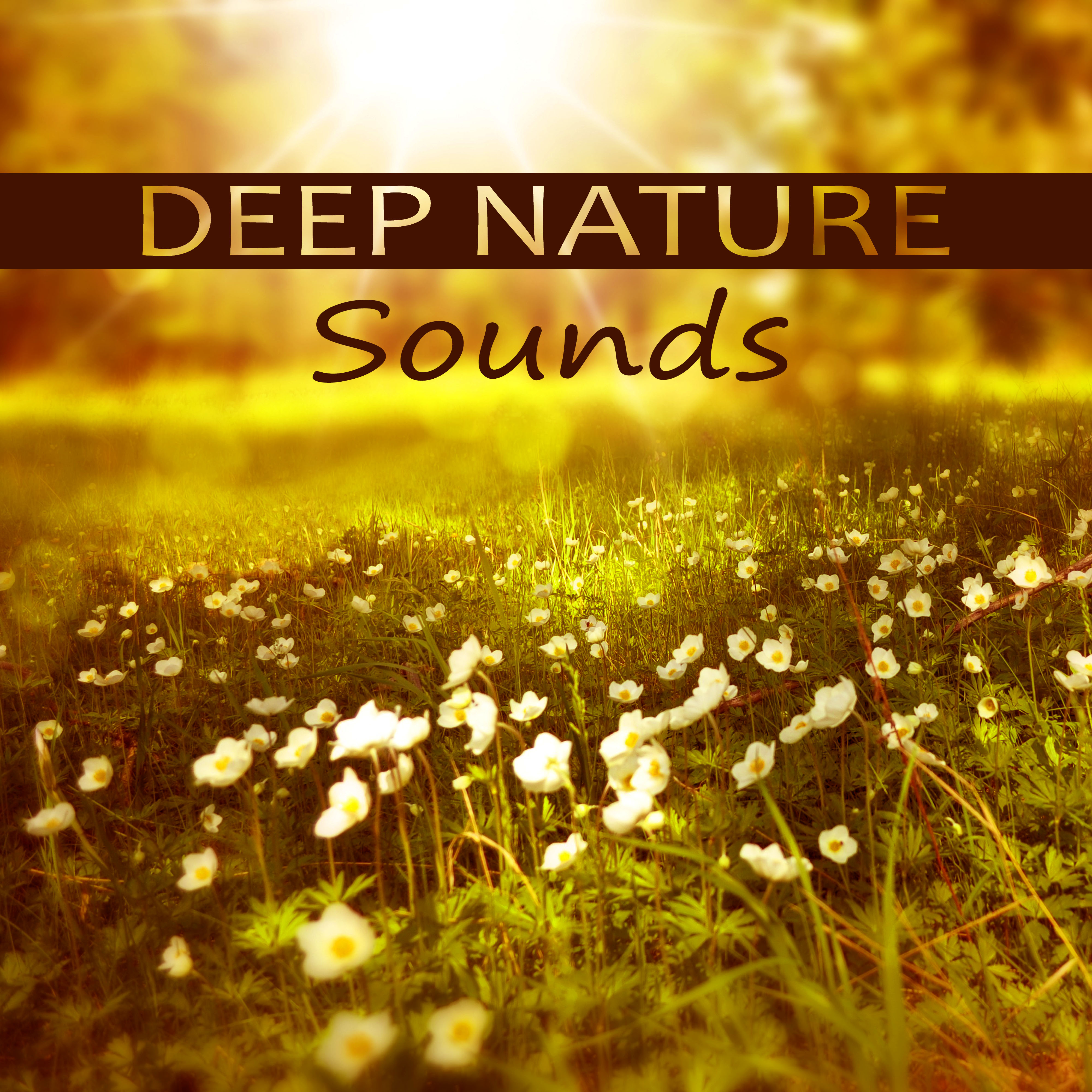 Deep Nature Sounds  Calm Sounds for Meditation, Soft Music for Relaxation, Nature Sounds, Inspiring Music