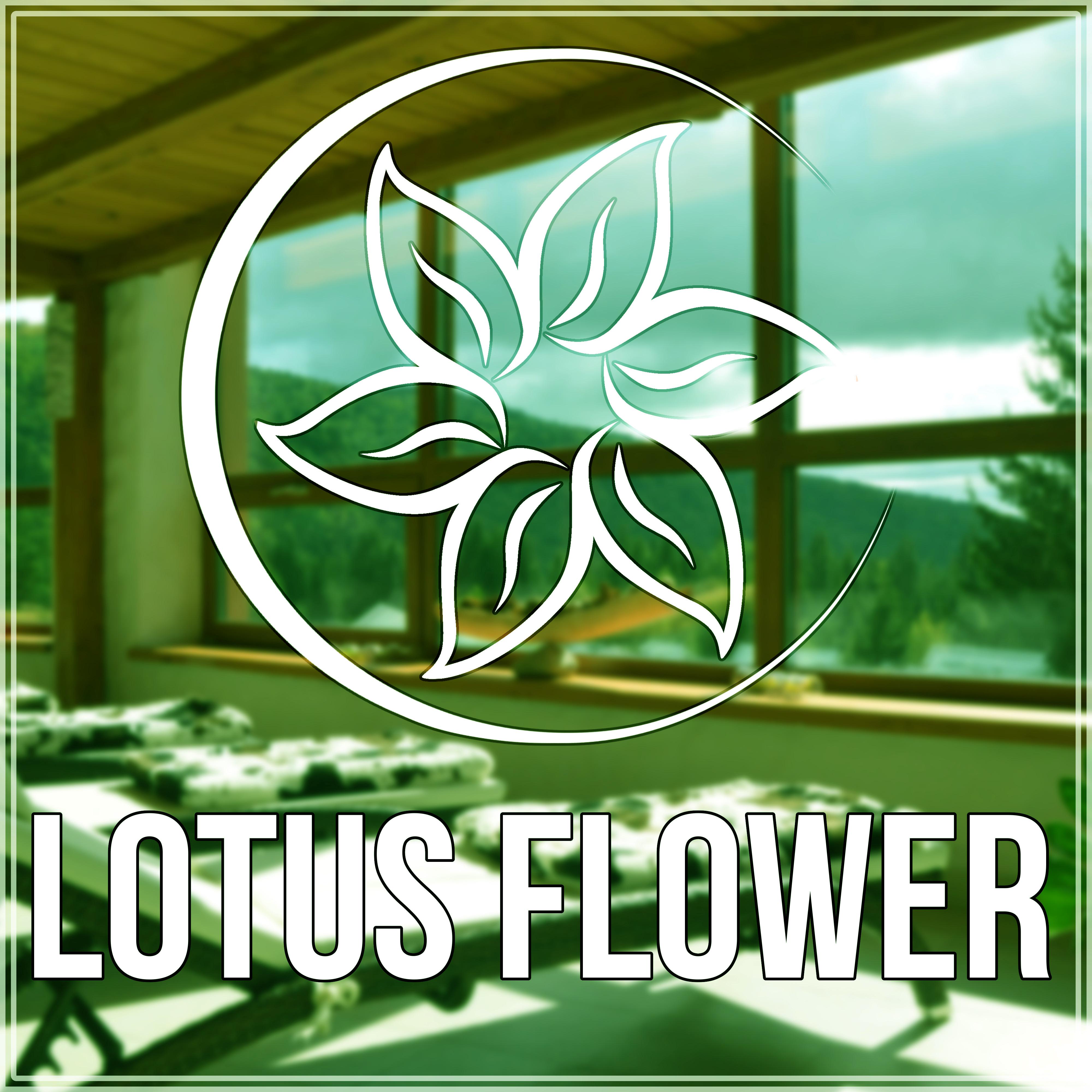 Lotus Flower - Healing Meditation, Sleep, Massage Therapy, Tranquility Spa & Total Relax