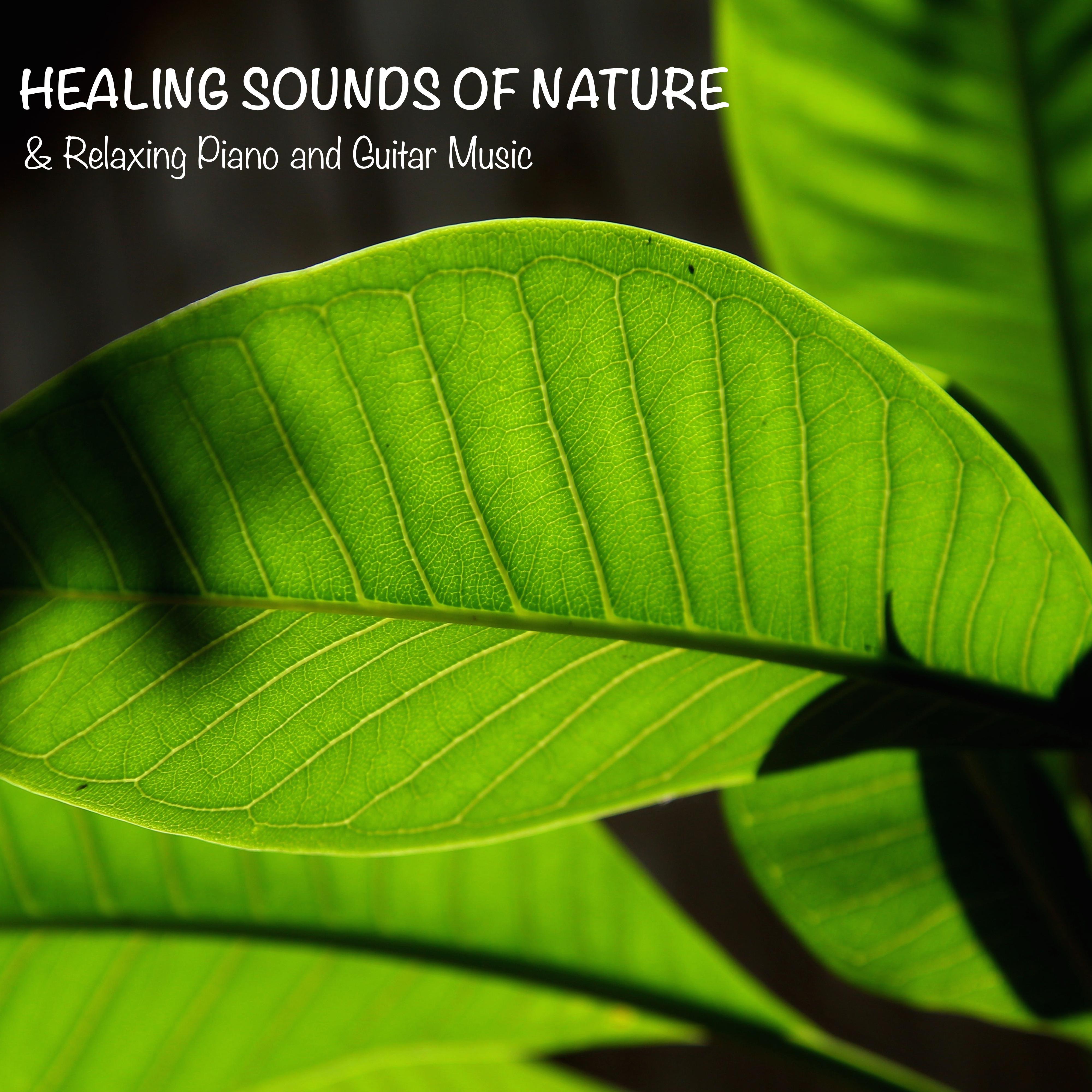 Reiki Healing Music Instrumentals