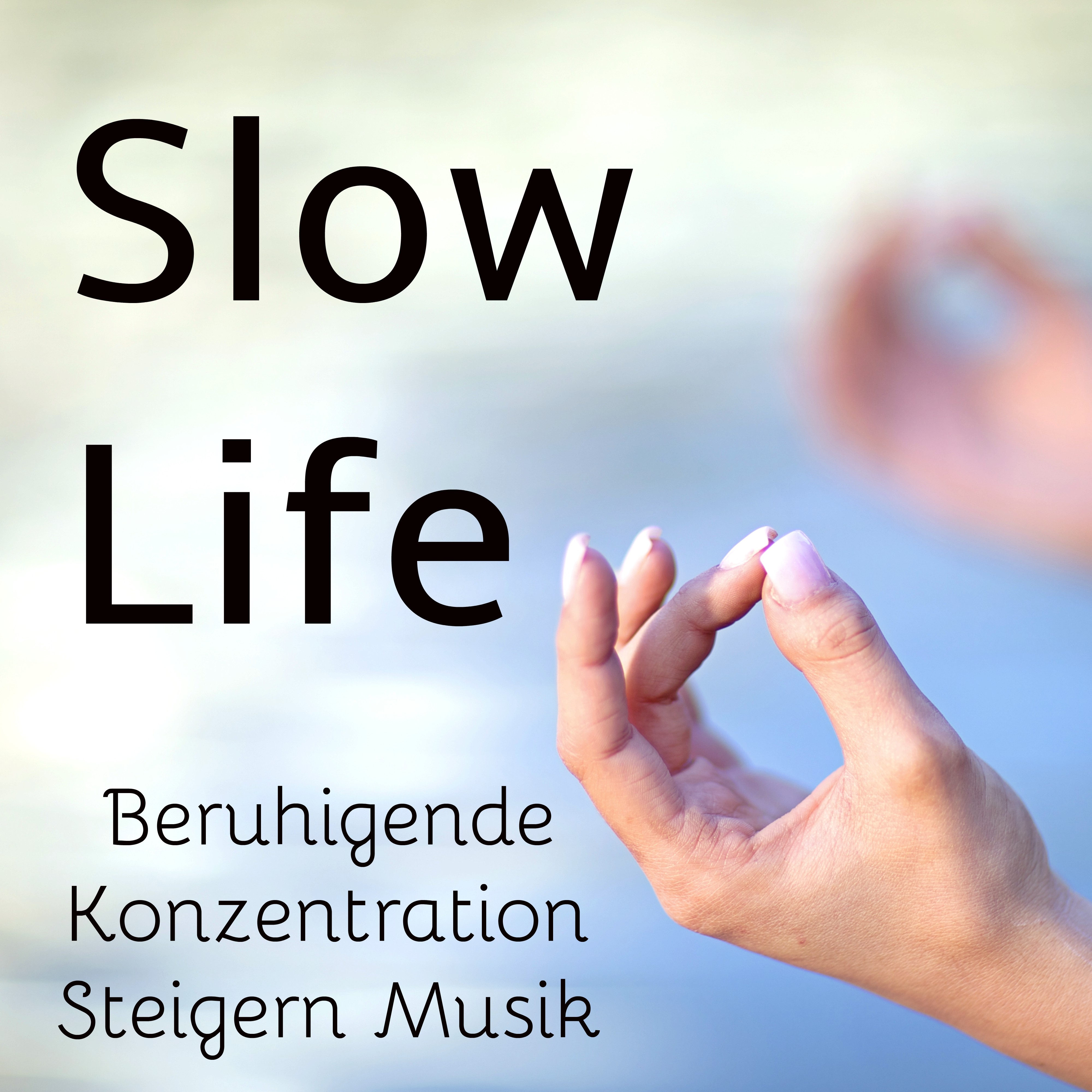 Slow Life  Beruhigende Konzentration Steigern Achtsamkeitsmeditation Musik fü r Besser Schlafen Entspannungsmassage und Gehirntraining