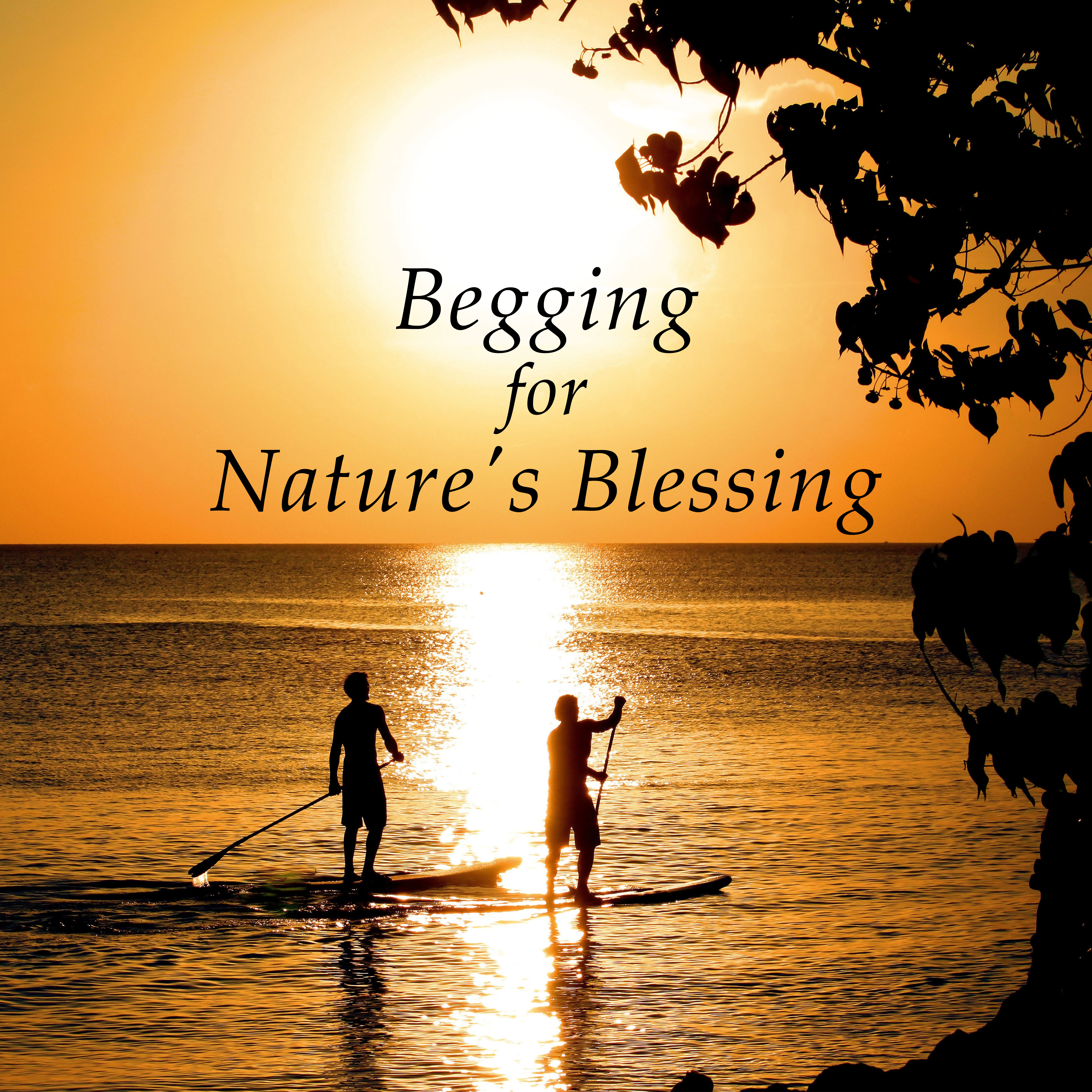 Begging for Nature' s Blessing  Soothing Music Help You Sleep, Sounds of Nature for Relaxation and Fall Asleep, Cure Insomnia, Therapy Sleep Aid