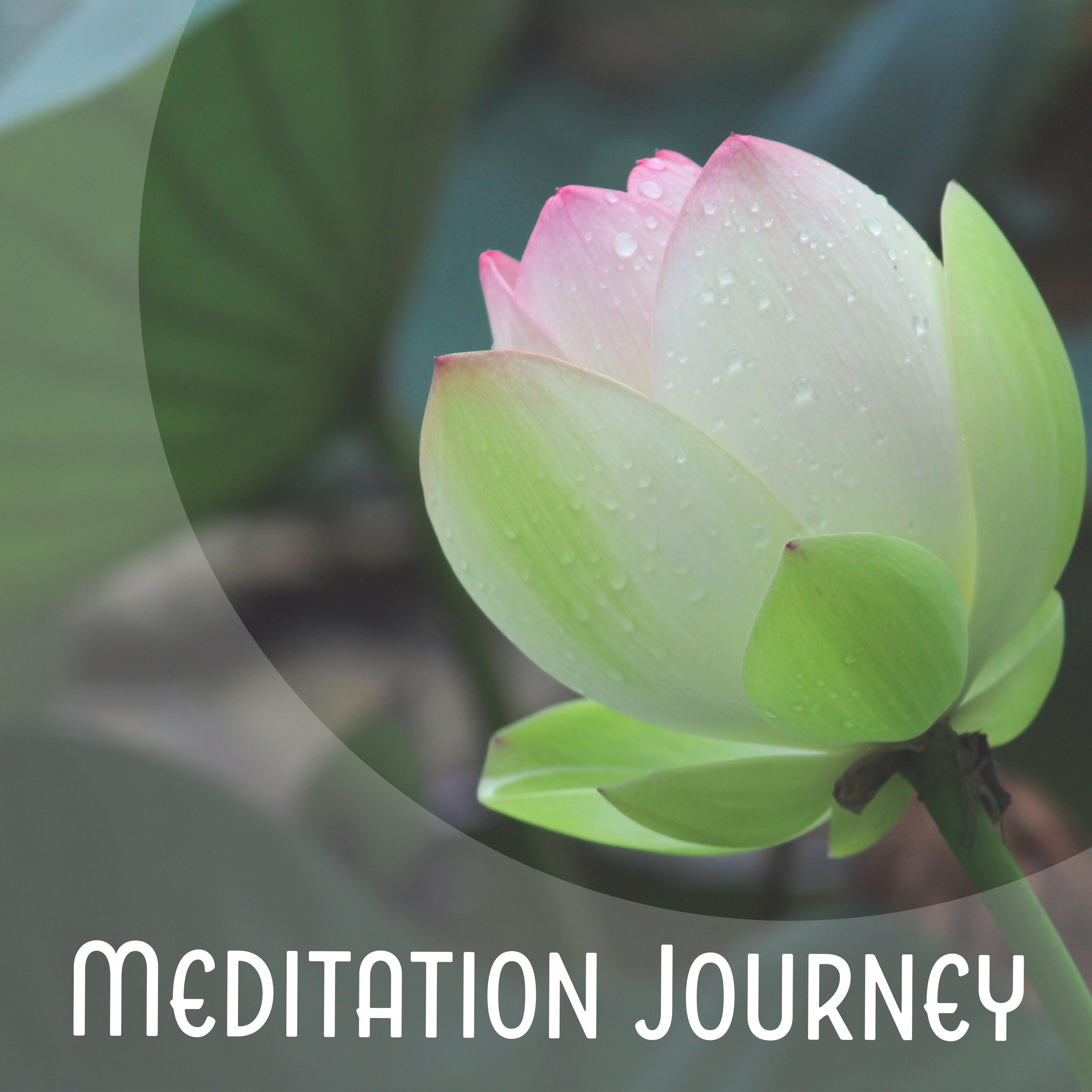 Meditation Journey  New Age Music, Deep Sounds of Nature, Helpful for Meditation at Home