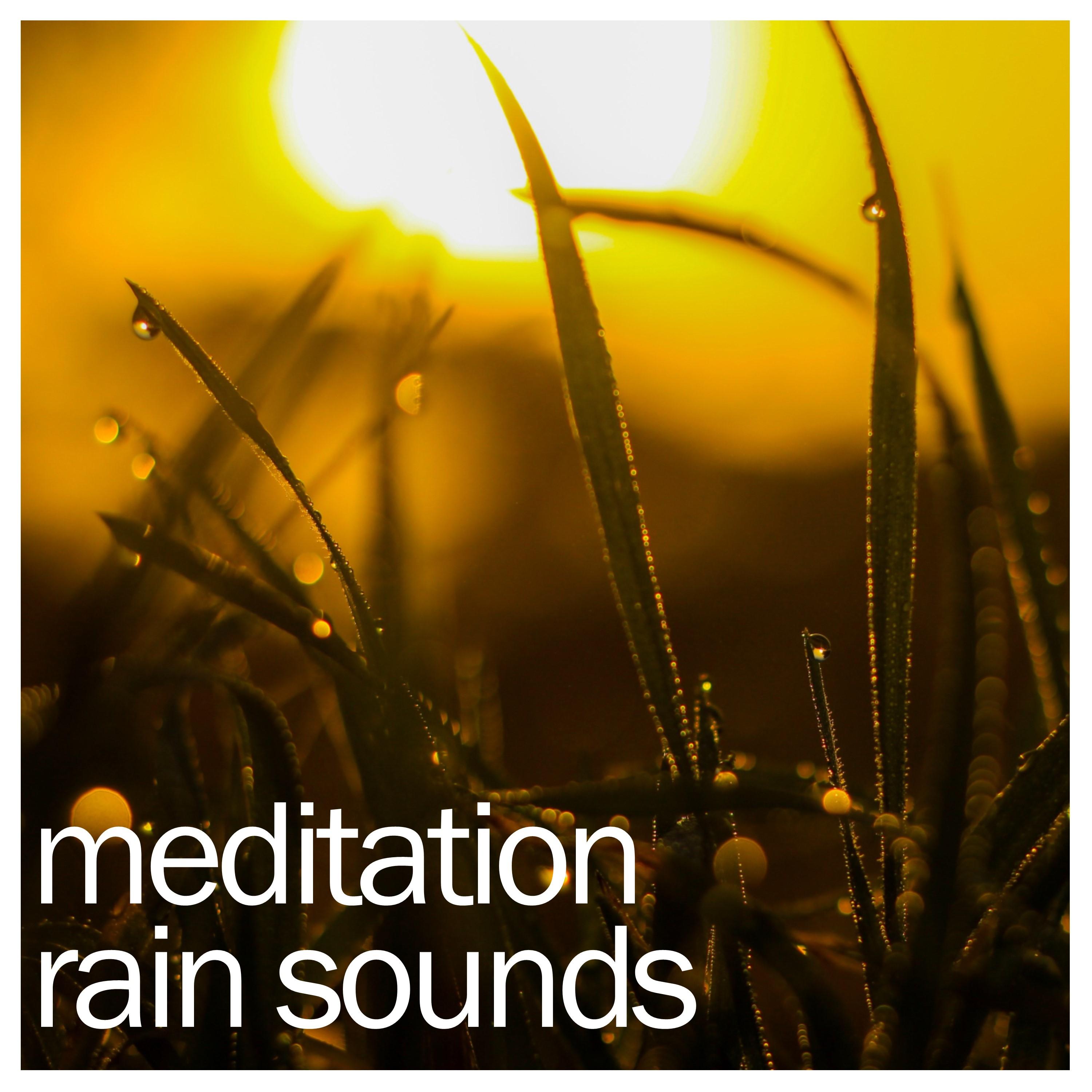 #15 Sleep, Yoga and Meditation Rain Recordings