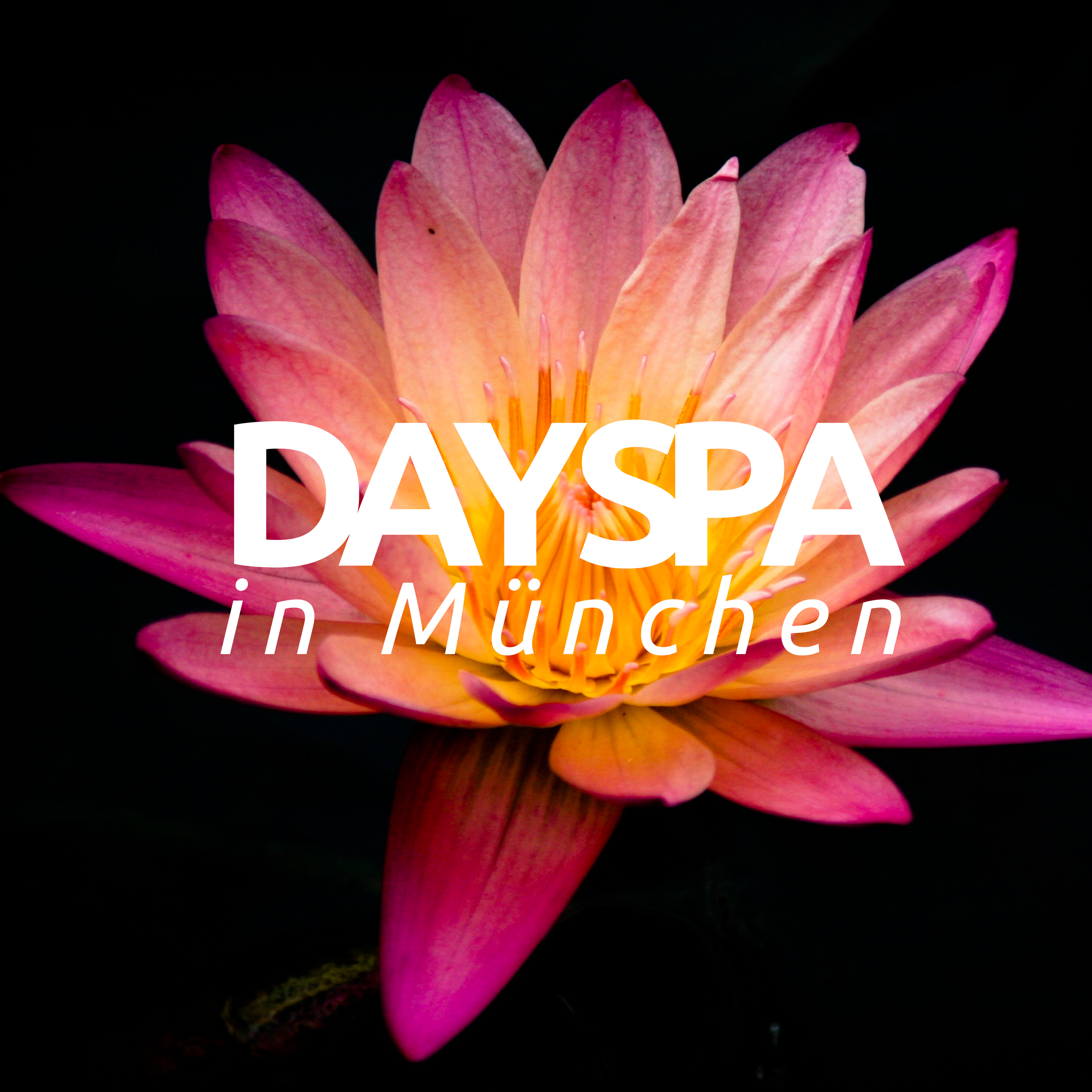 Day Spa in Mü nchen  Willkommen beim Emotion Spa Mü nchen, Entspannen Sie in den sch nsten Spas Deutschlands