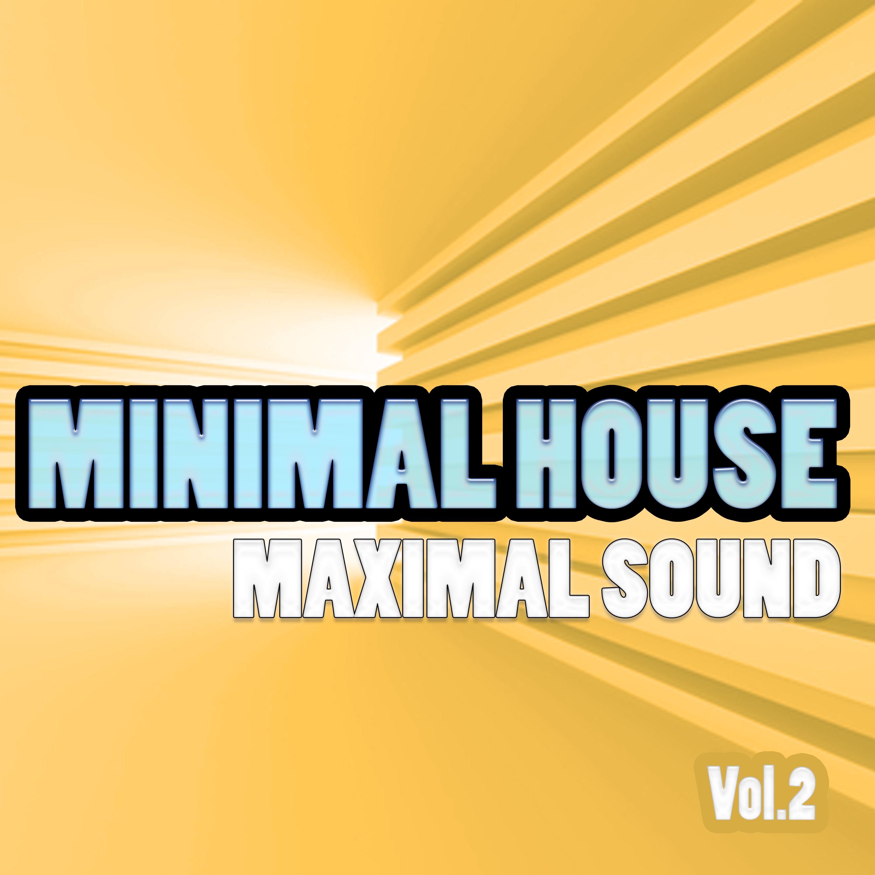 Minimal House - Maximal Sound, Vol. 2