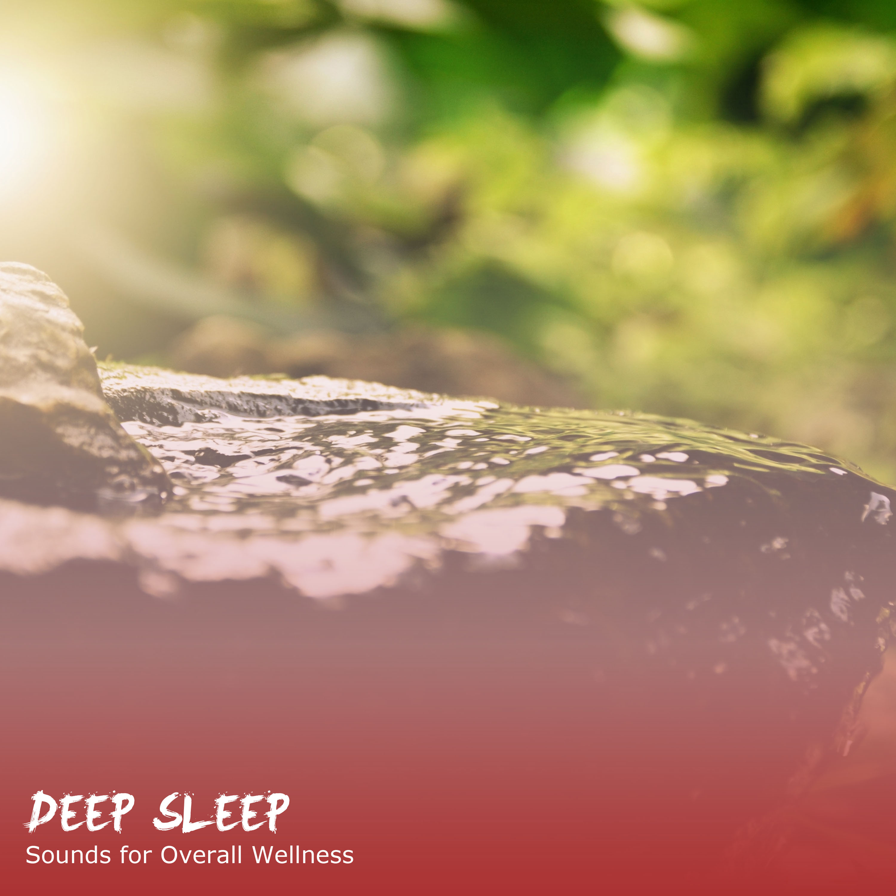 2018 Deep Sleep, Relaxation and Sounds for Overall Wellness