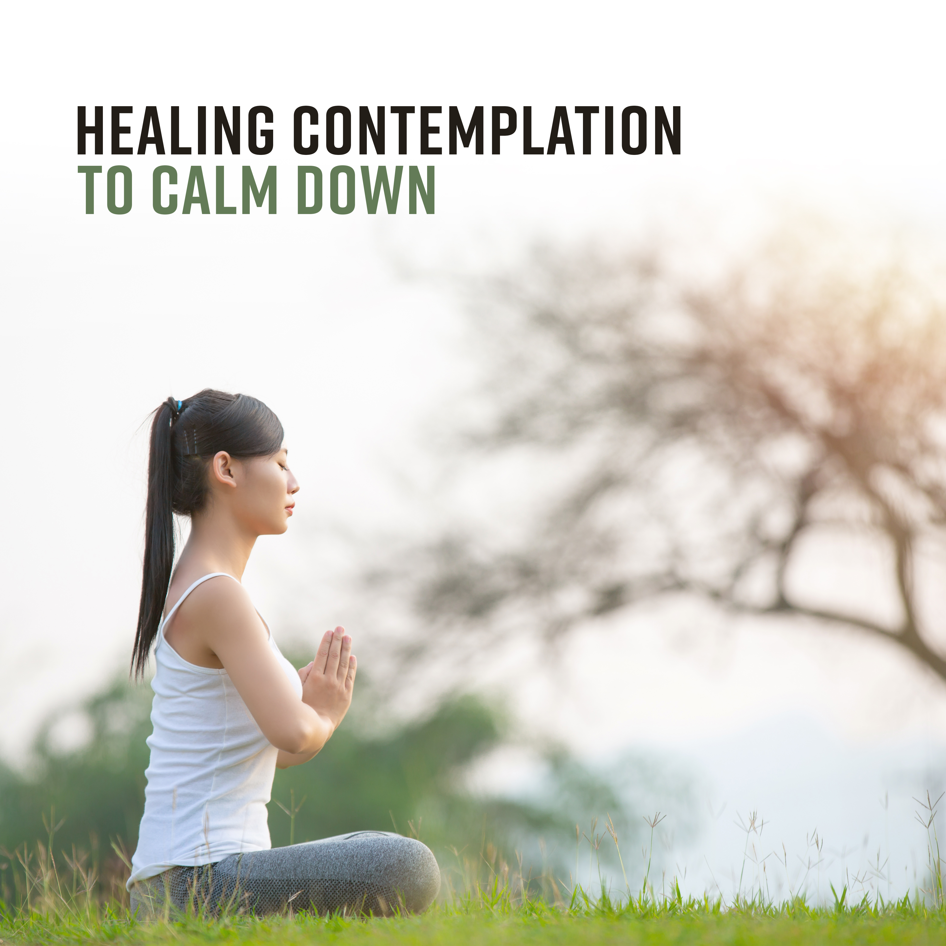 Healing Contemplation to Calm Down
