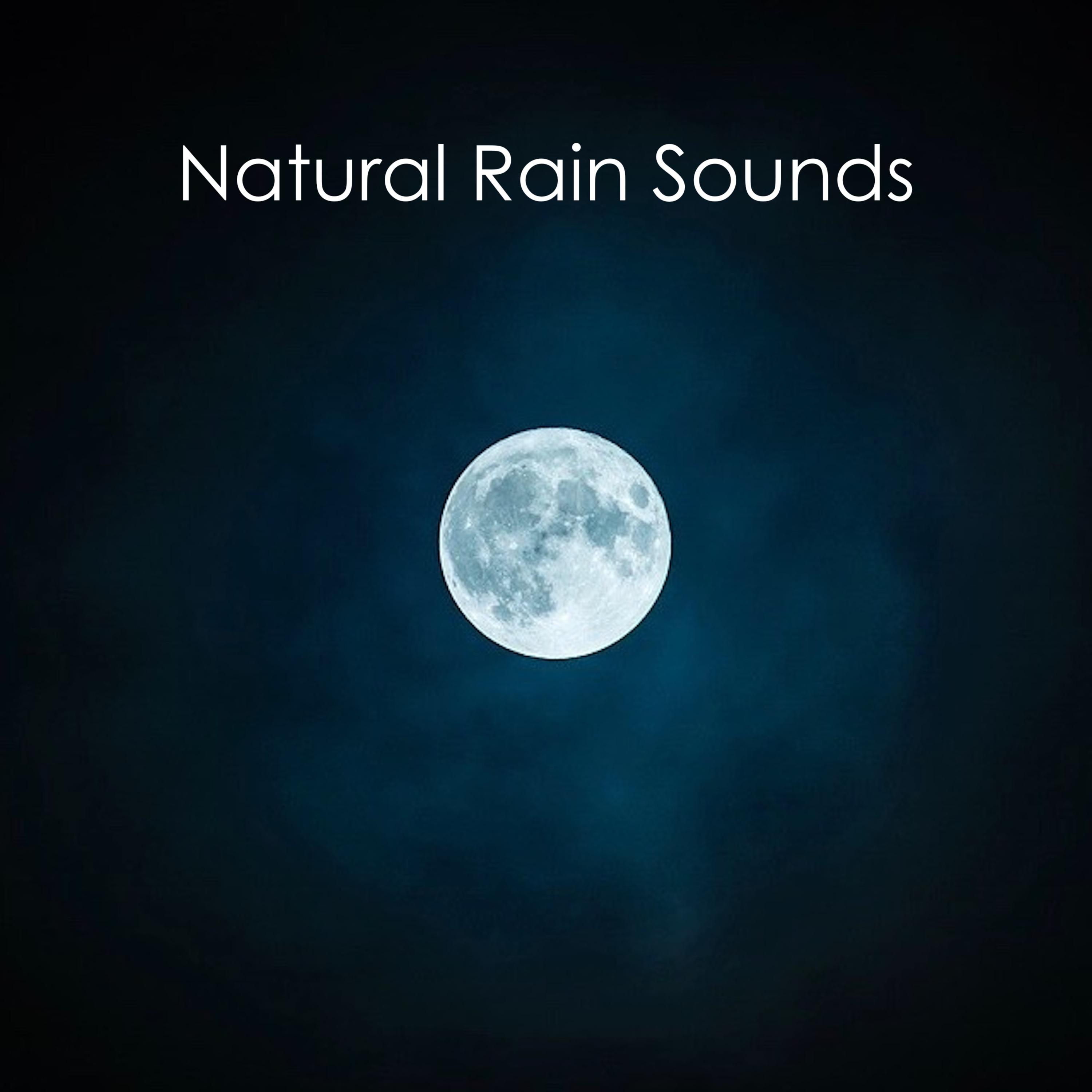 #12 Sleep Rain Sounds: Natural Sounds for Sleeping, Meditating, Studying or Yoga