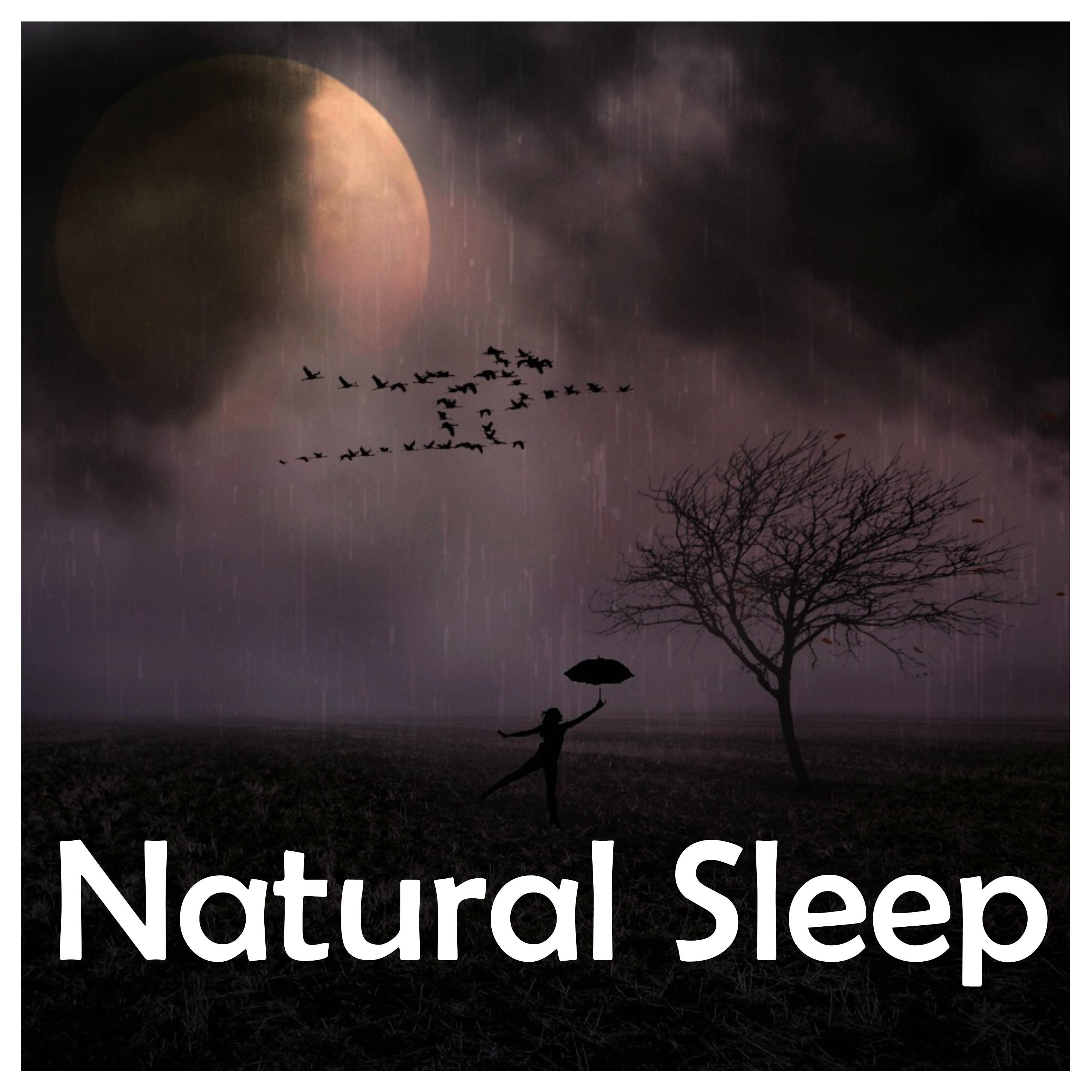 16 Baby Sleep Aid Sounds - Natural White Noise for Deep Relaxation