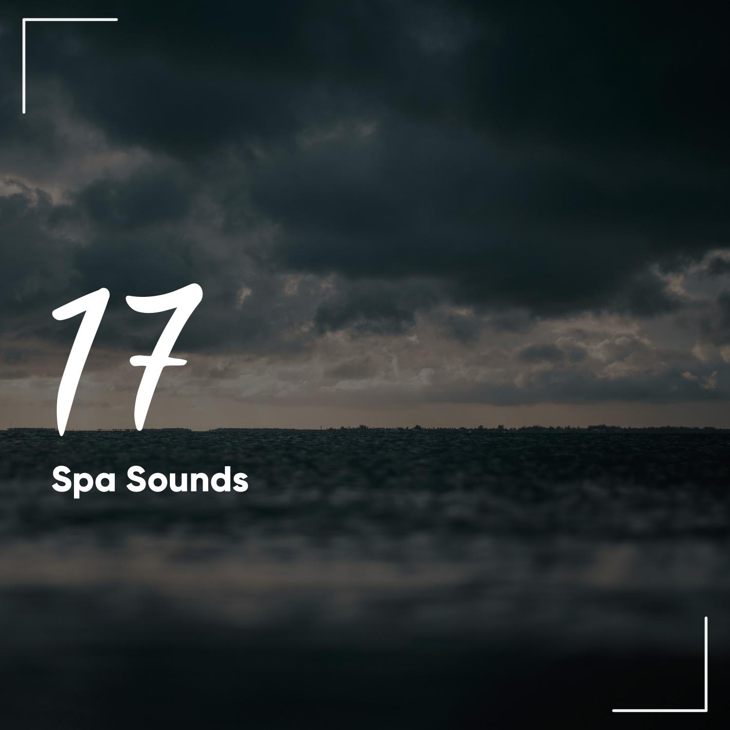 17 Amazing Spa Sounds - Natural Rain Noise for Zen Relaxation