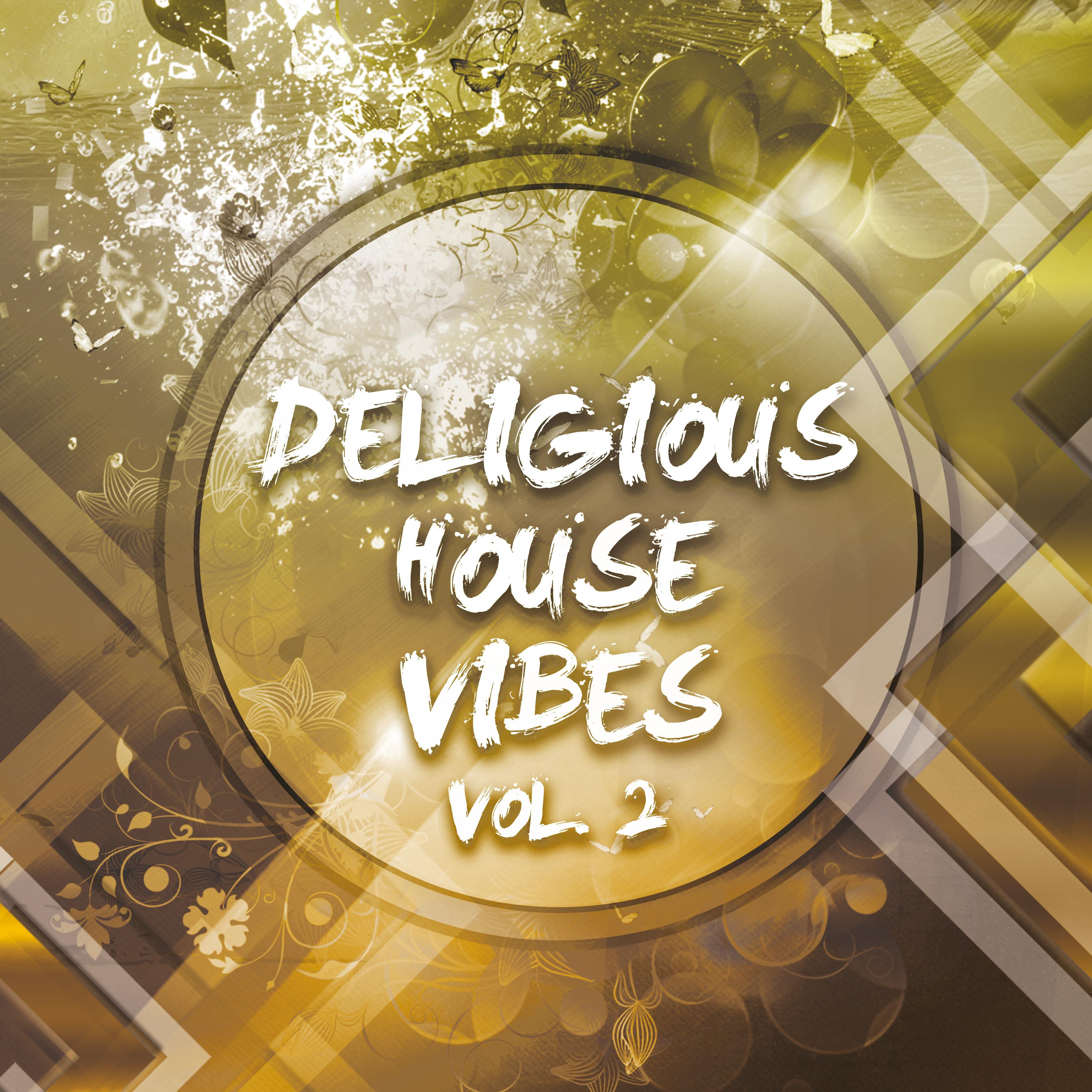 Deligious House Vibes, Vol. 2