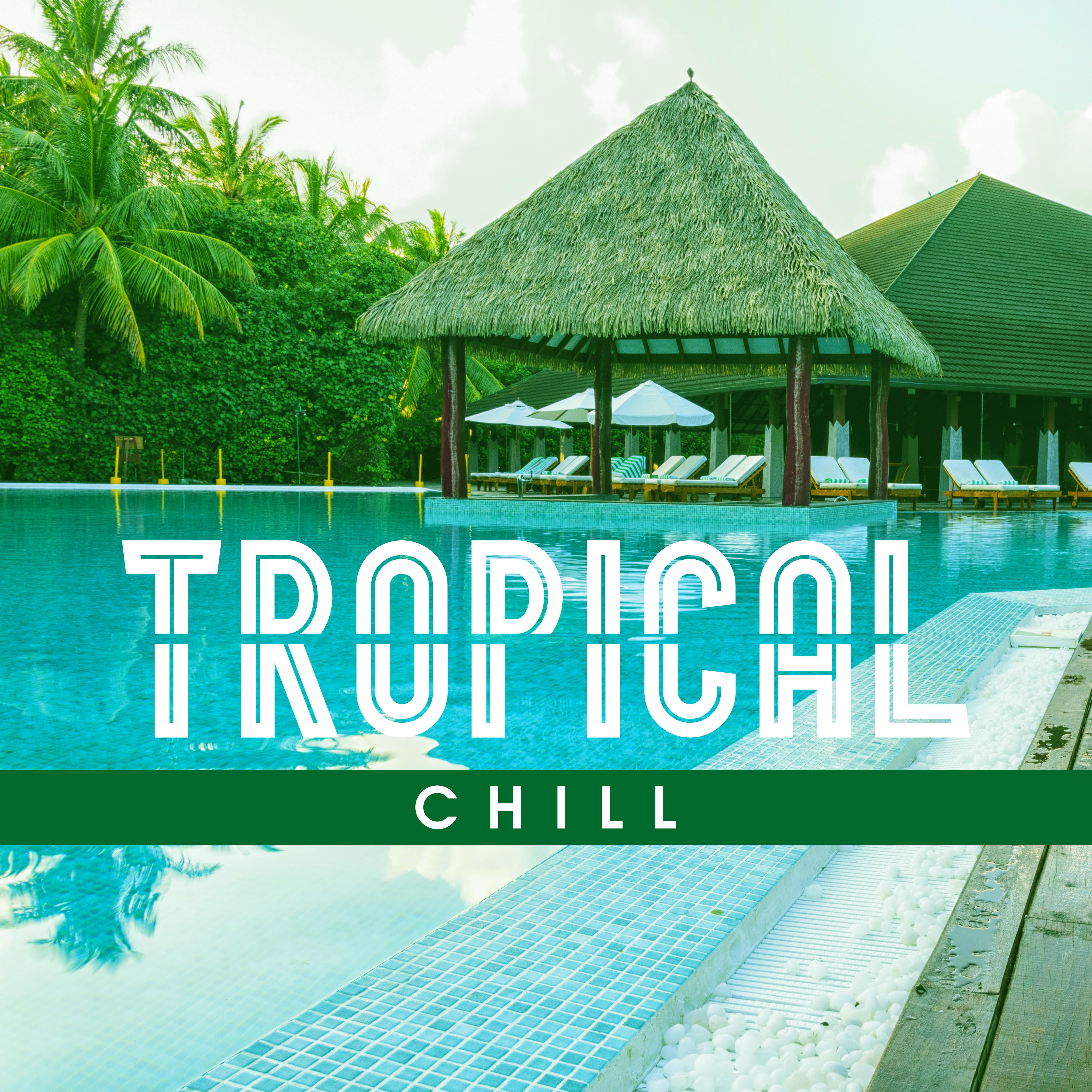 Tropical Chill  Exotic Island, Beach Bar Lounge, Beach Music, Rest, Summer Hits