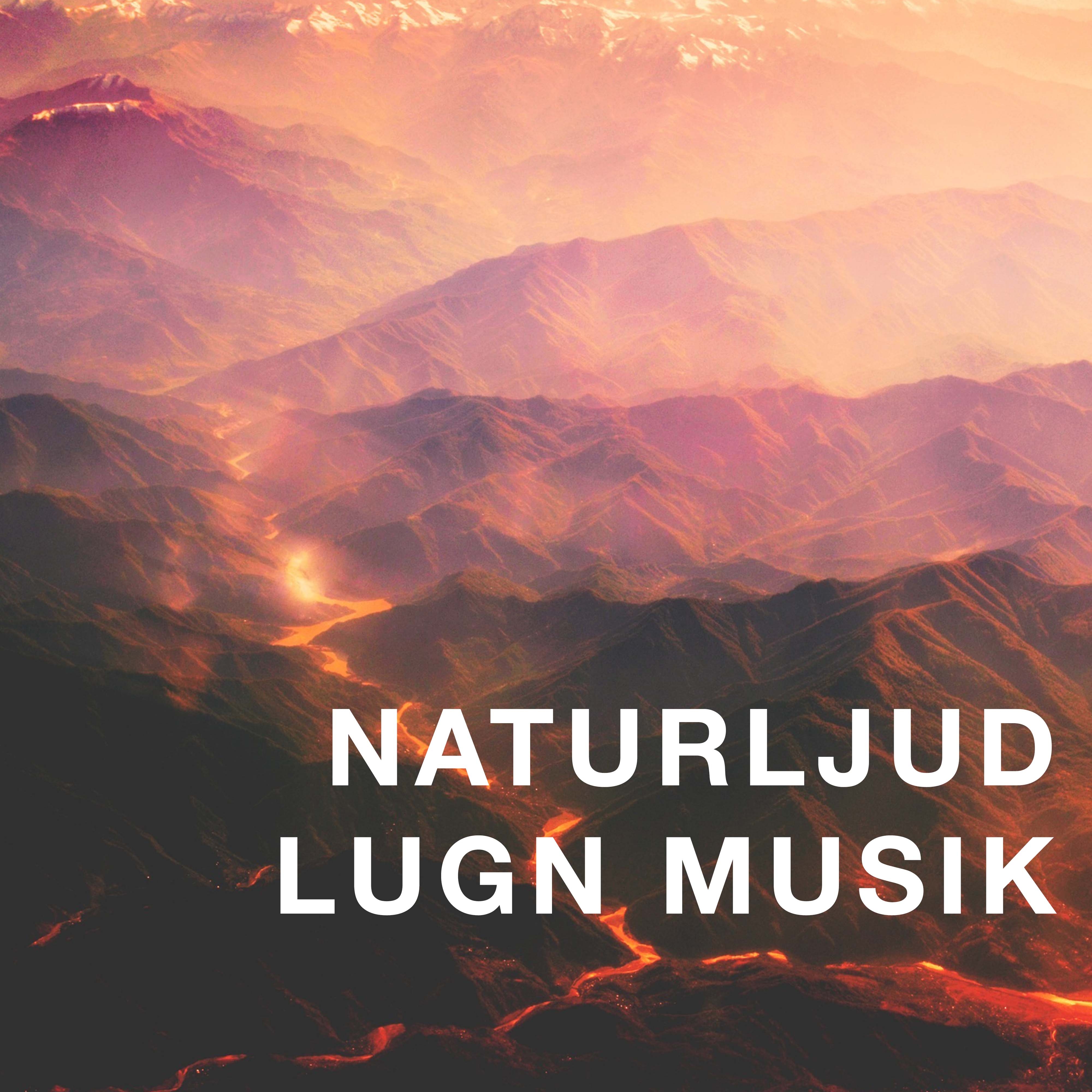 Naturljud: Lugn Musik