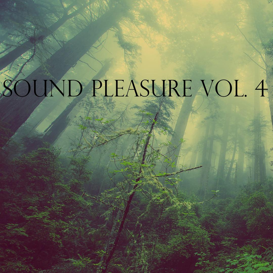 Sound Pleasure, Vol. 4