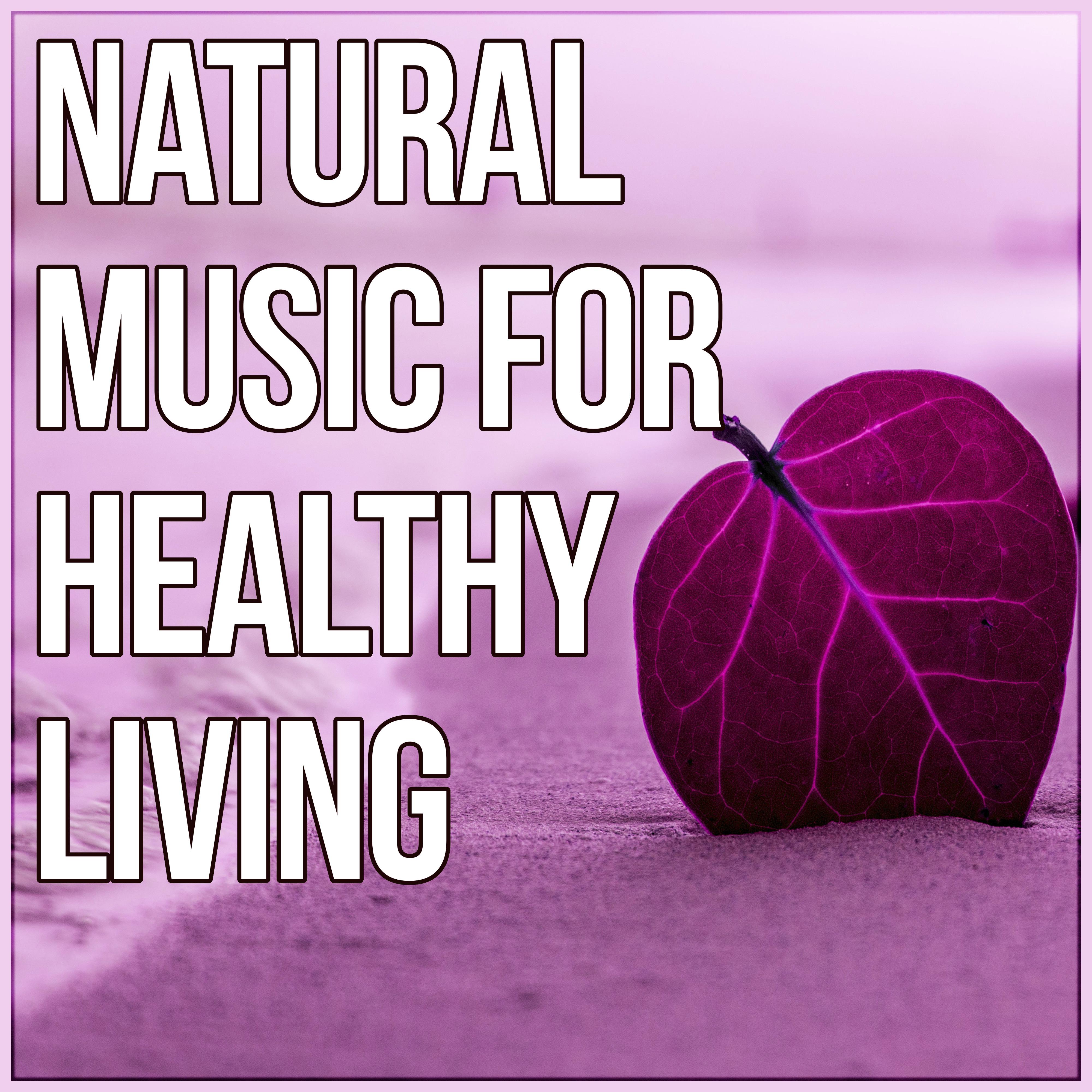 Natural Music for Healthy Living - Essential Chill Out Music, Meditation & Wellbeing, Mindfulness Meditation