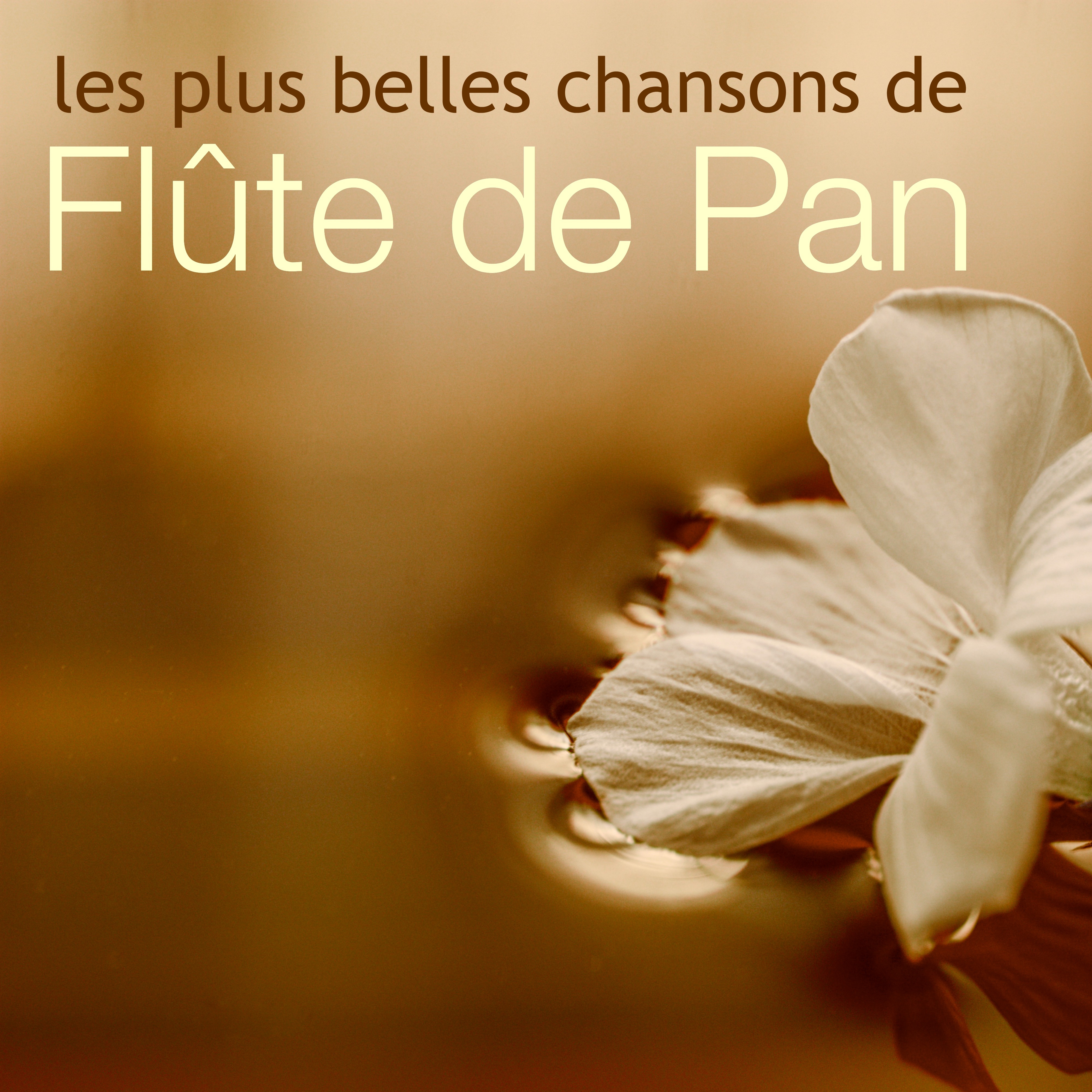 Les Plus Belles Chansons de Fl te de Pan pour Me ditation, Paix et Se De tendre