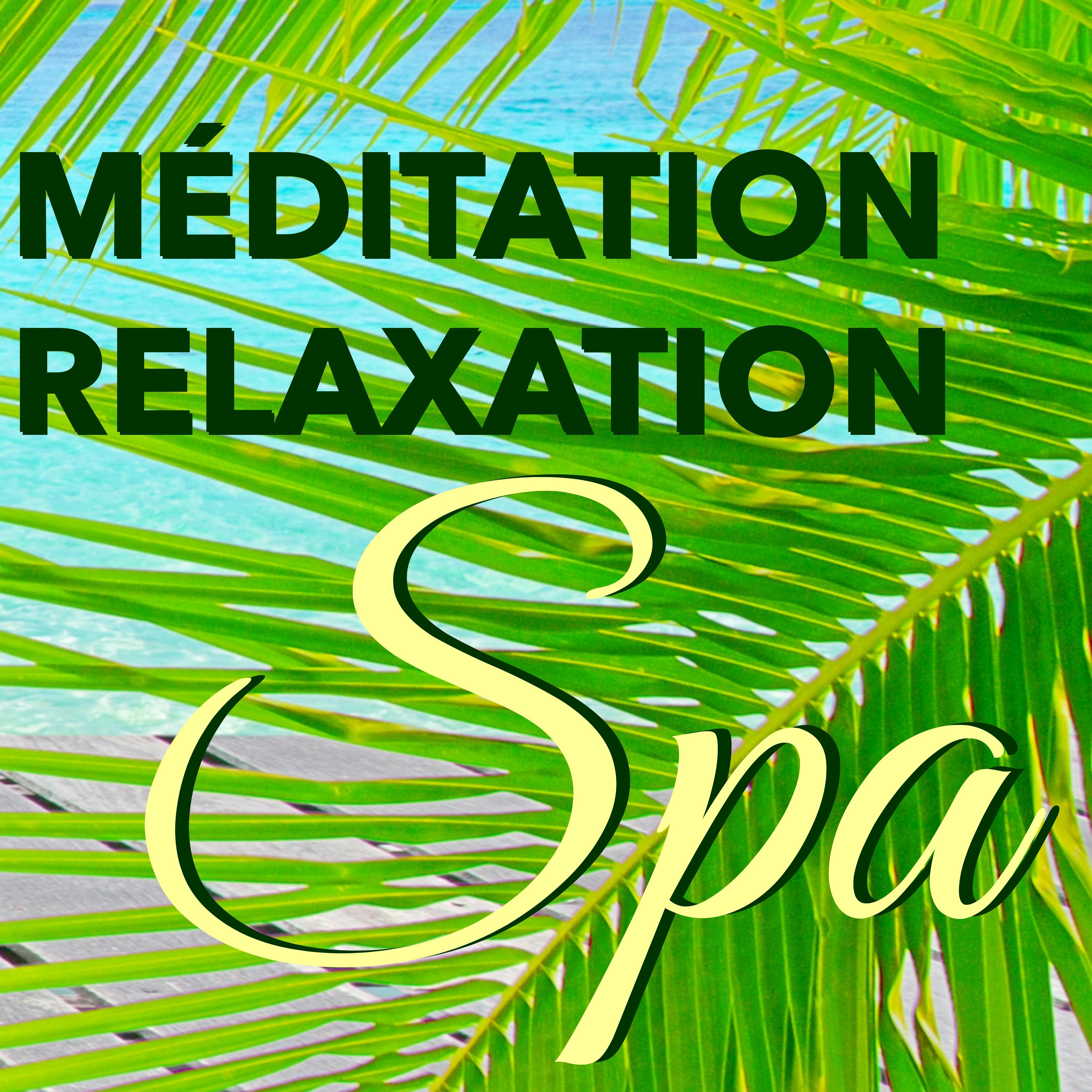 Me ditation Relaxation Spa  Musique d' Ambiance pour Me ditation Yoga et Massage Relaxant au Spa, Coffret Bien tre Anti Stress pour Spa Salon